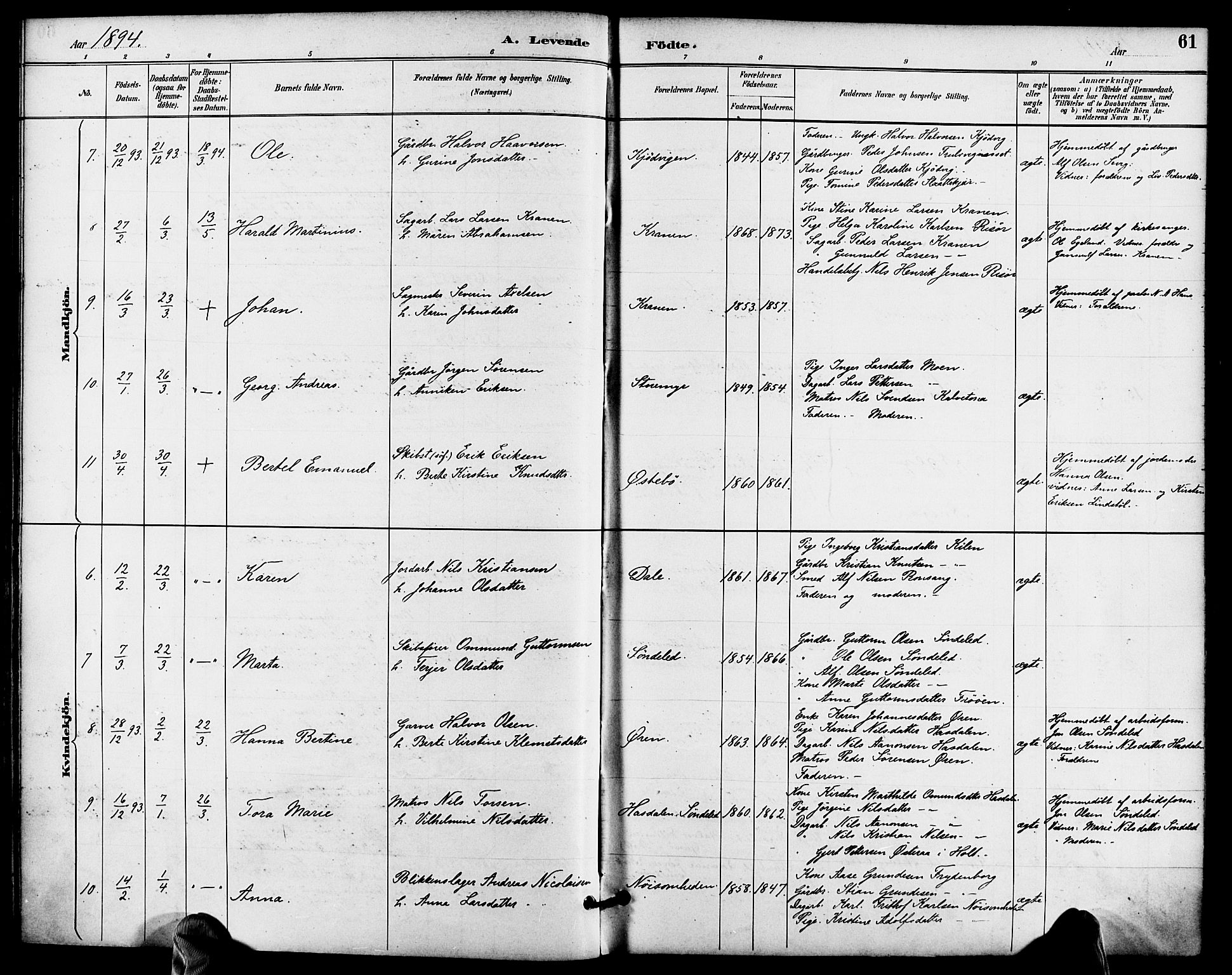 Søndeled sokneprestkontor, SAK/1111-0038/F/Fa/L0005: Ministerialbok nr. A 5, 1889-1899, s. 61