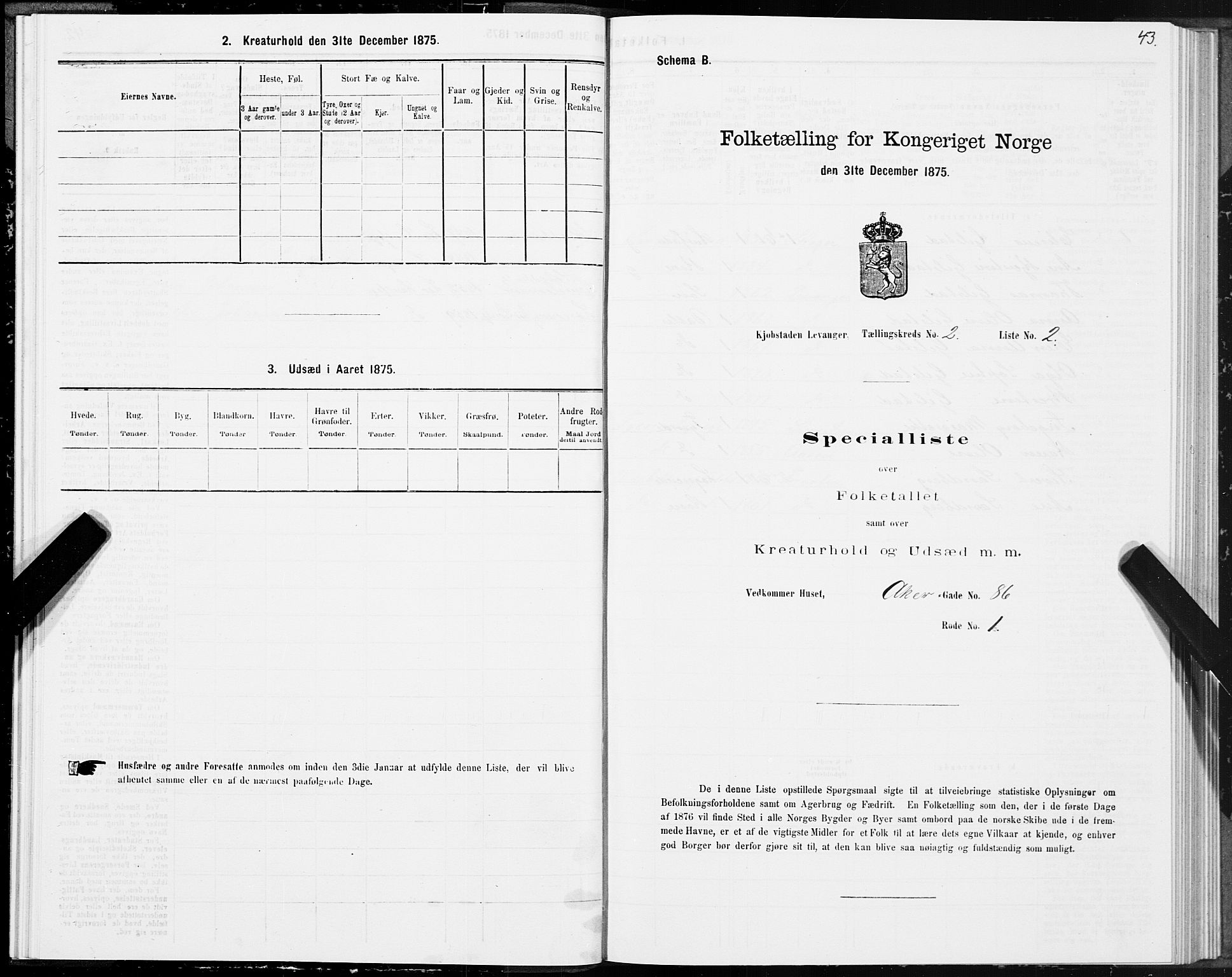 SAT, Folketelling 1875 for 1701B Levanger prestegjeld, Levanger kjøpstad, 1875, s. 43