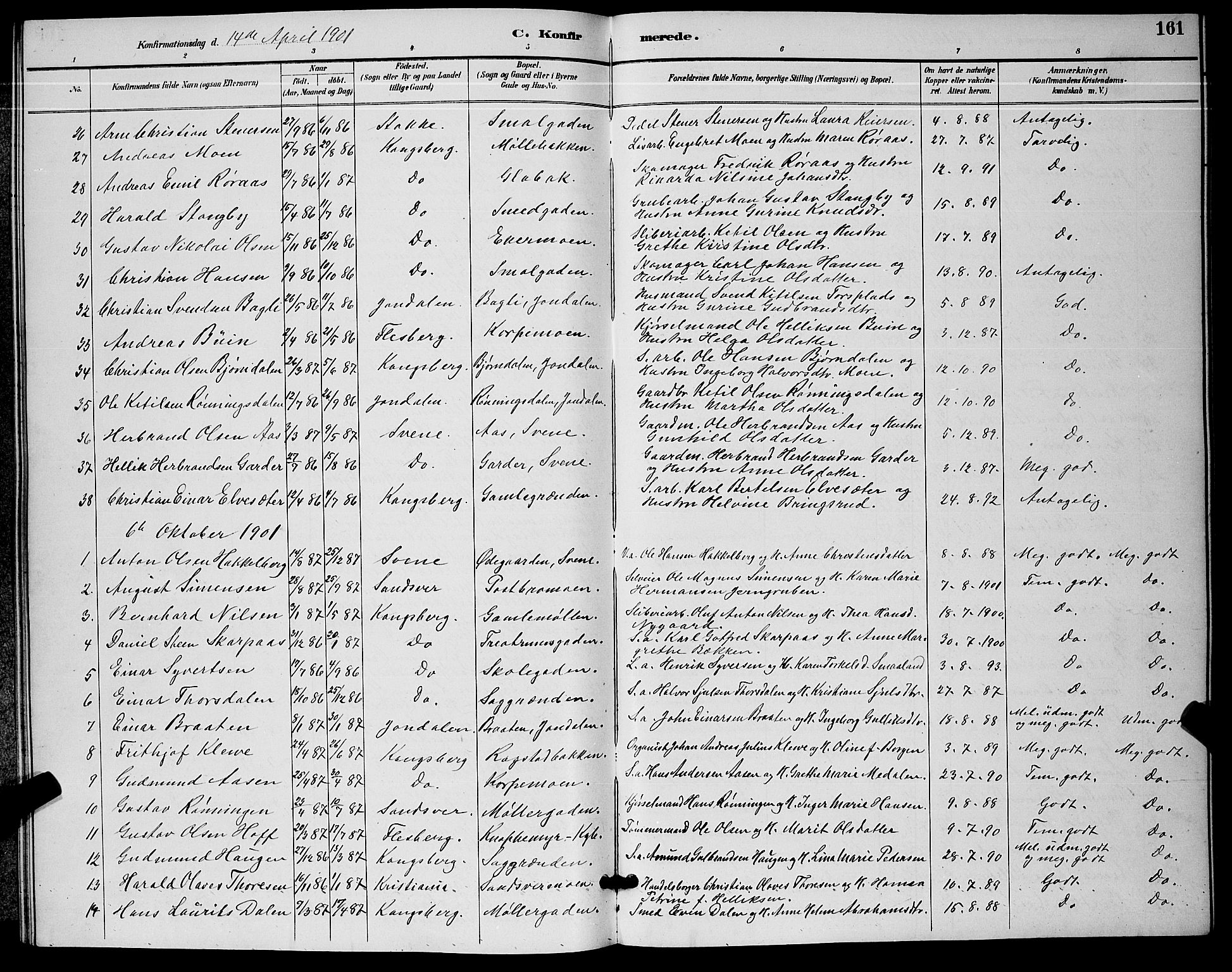 Kongsberg kirkebøker, AV/SAKO-A-22/G/Ga/L0006: Klokkerbok nr. 6, 1890-1901, s. 161