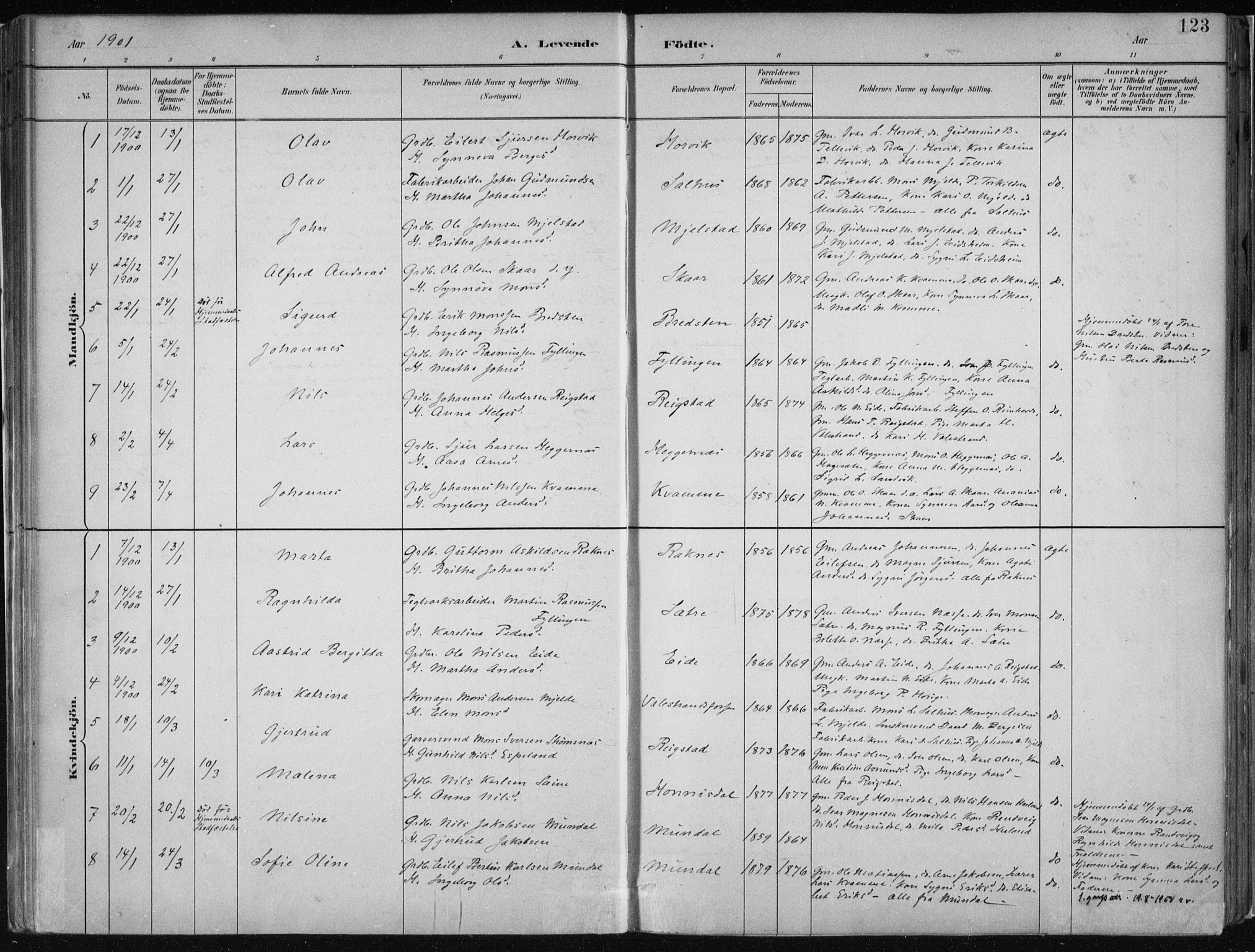 Hamre sokneprestembete, AV/SAB-A-75501/H/Ha/Haa/Haab/L0001: Ministerialbok nr. B  1, 1882-1905, s. 123