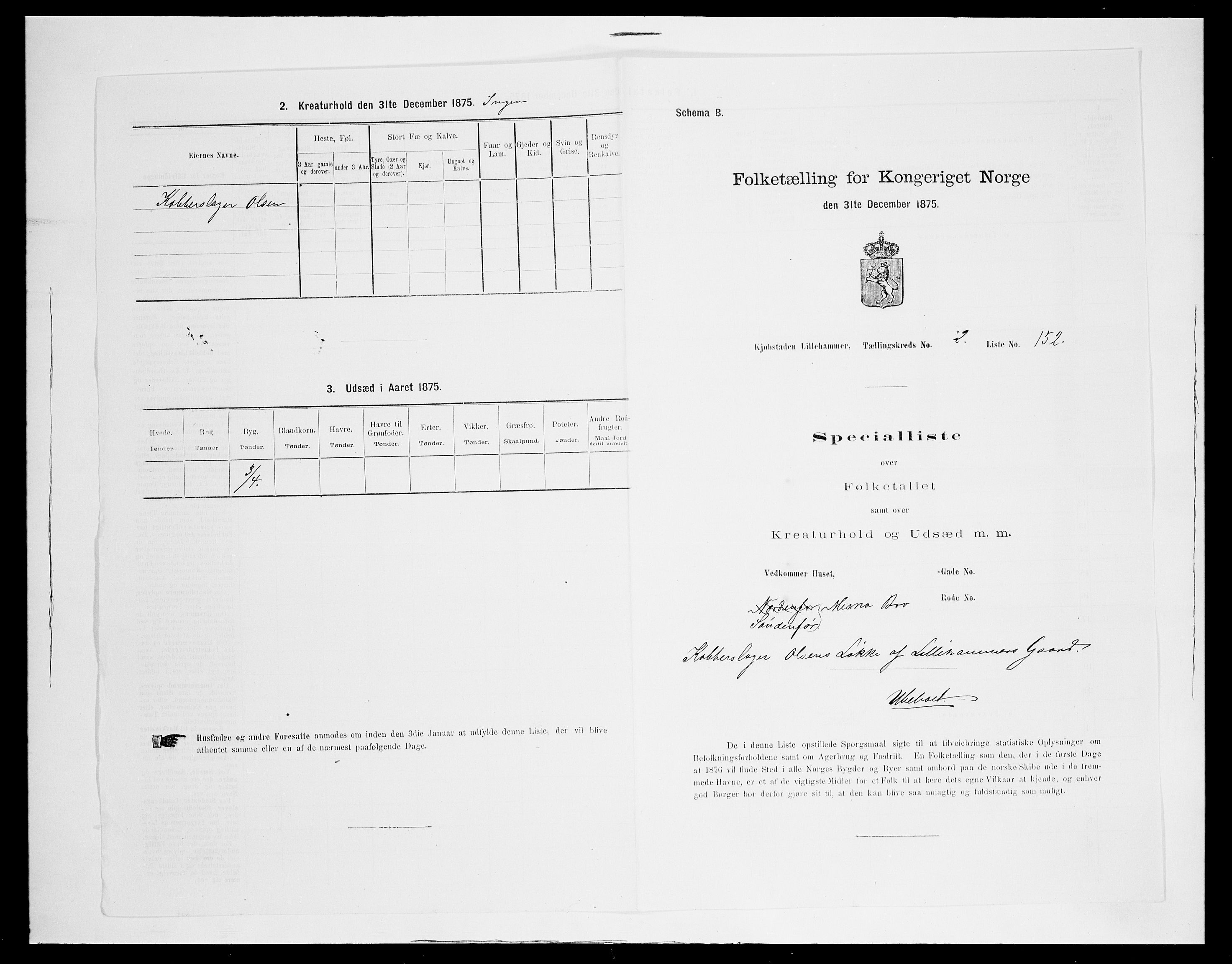 SAH, Folketelling 1875 for 0501B Fåberg prestegjeld, Lillehammer kjøpstad, 1875, s. 339