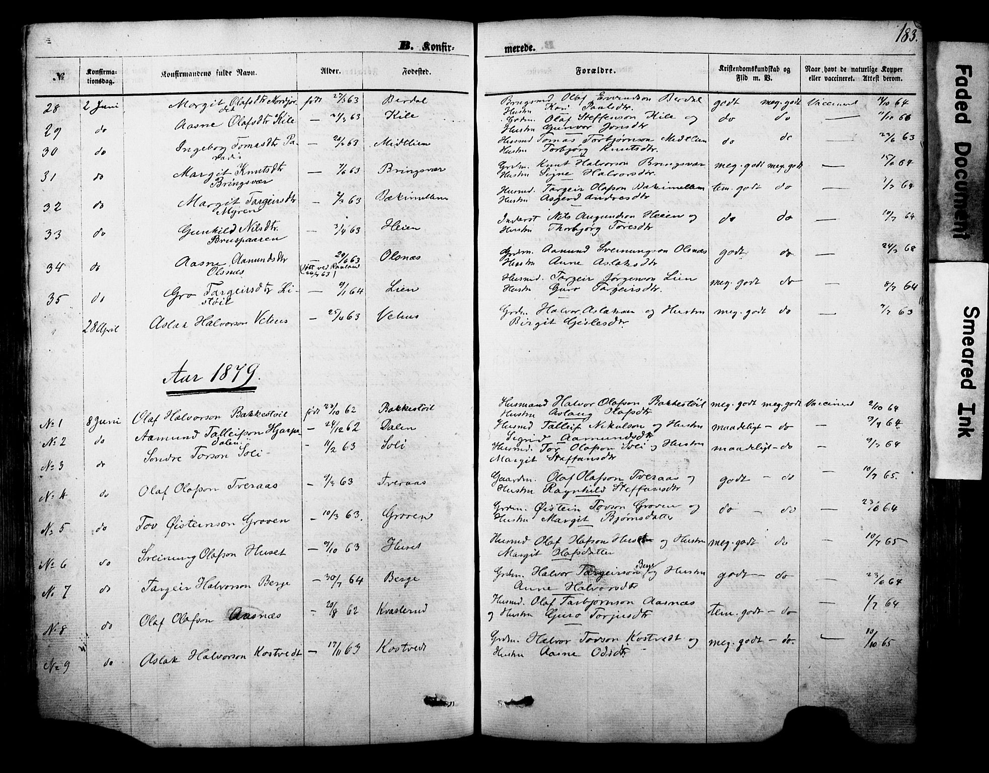 Vinje kirkebøker, AV/SAKO-A-312/F/Fa/L0005: Ministerialbok nr. I 5, 1870-1886, s. 183