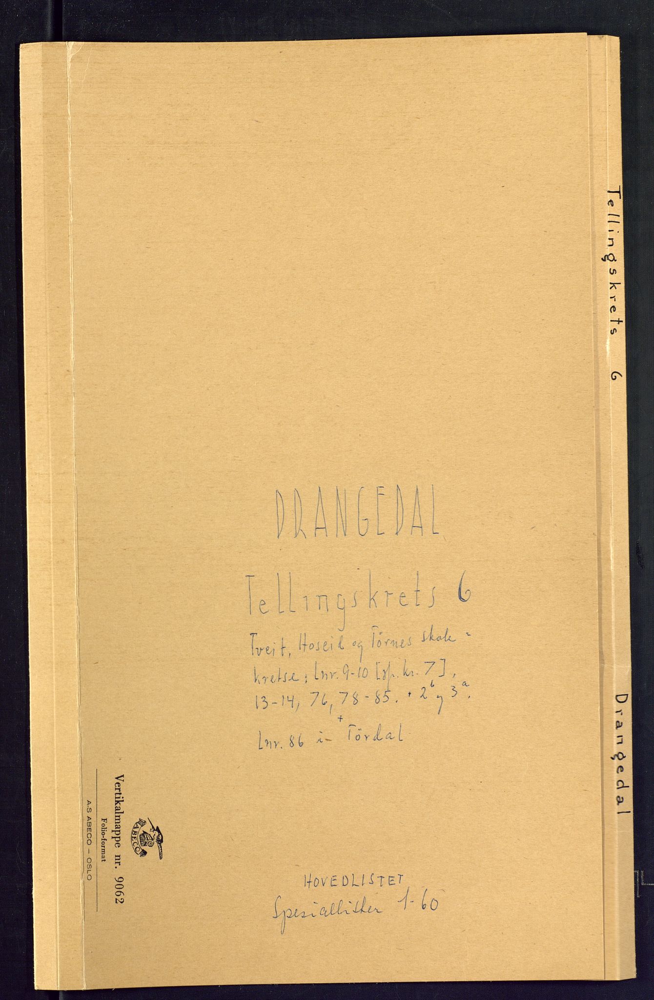 SAKO, Folketelling 1875 for 0817P Drangedal prestegjeld, 1875, s. 21