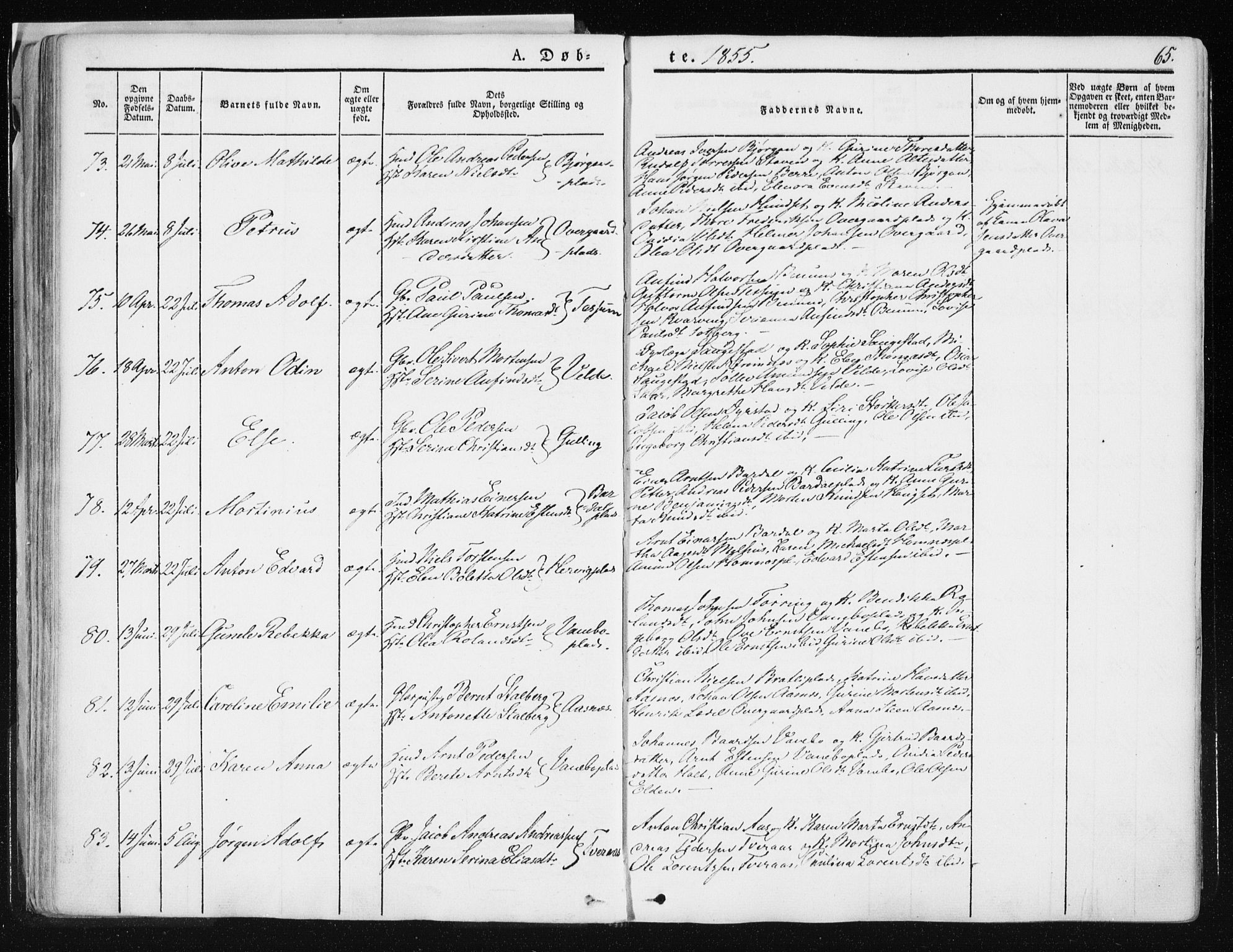 Ministerialprotokoller, klokkerbøker og fødselsregistre - Nord-Trøndelag, SAT/A-1458/741/L0393: Ministerialbok nr. 741A07, 1849-1863, s. 65