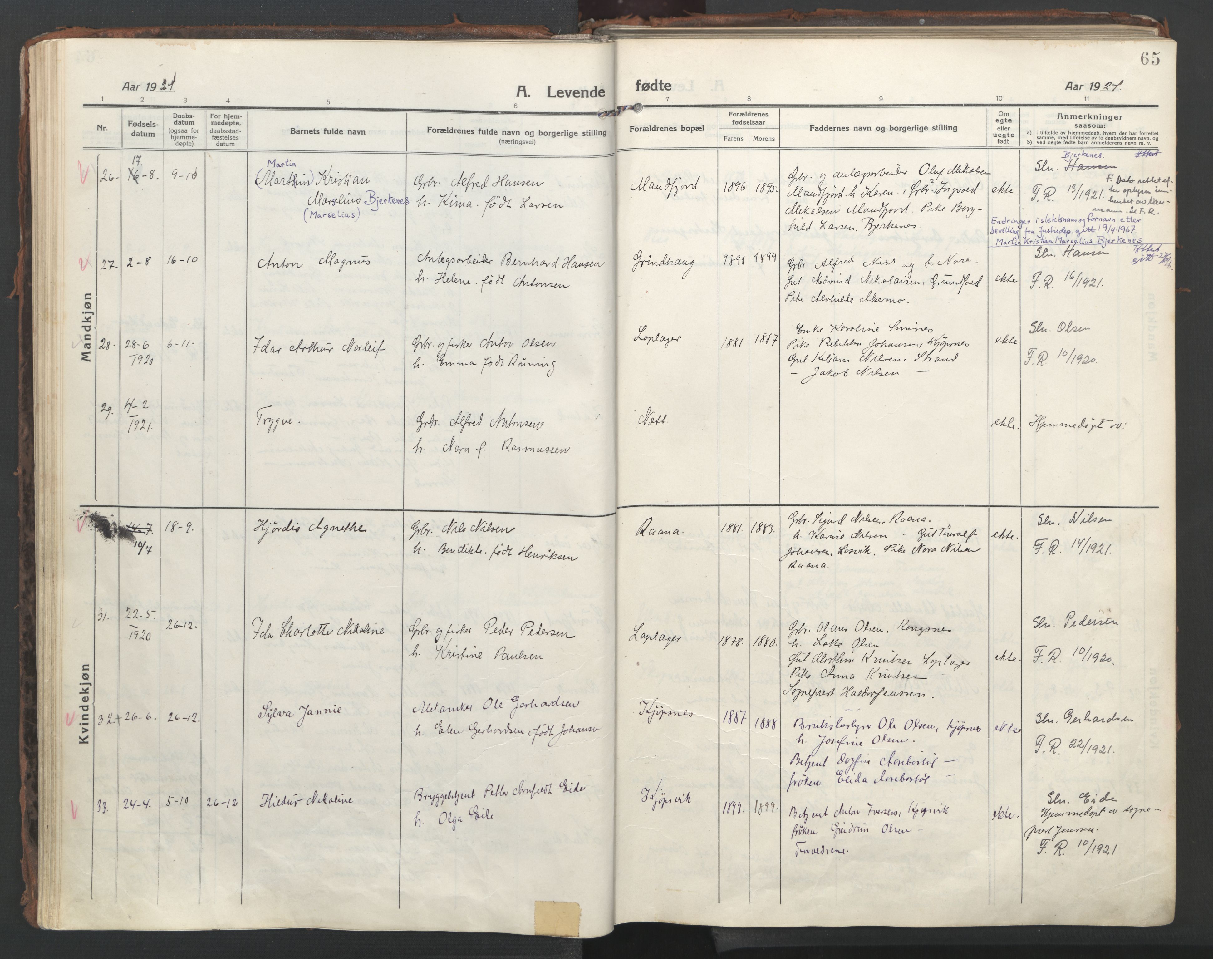 Ministerialprotokoller, klokkerbøker og fødselsregistre - Nordland, AV/SAT-A-1459/861/L0872: Ministerialbok nr. 861A07, 1915-1924, s. 65