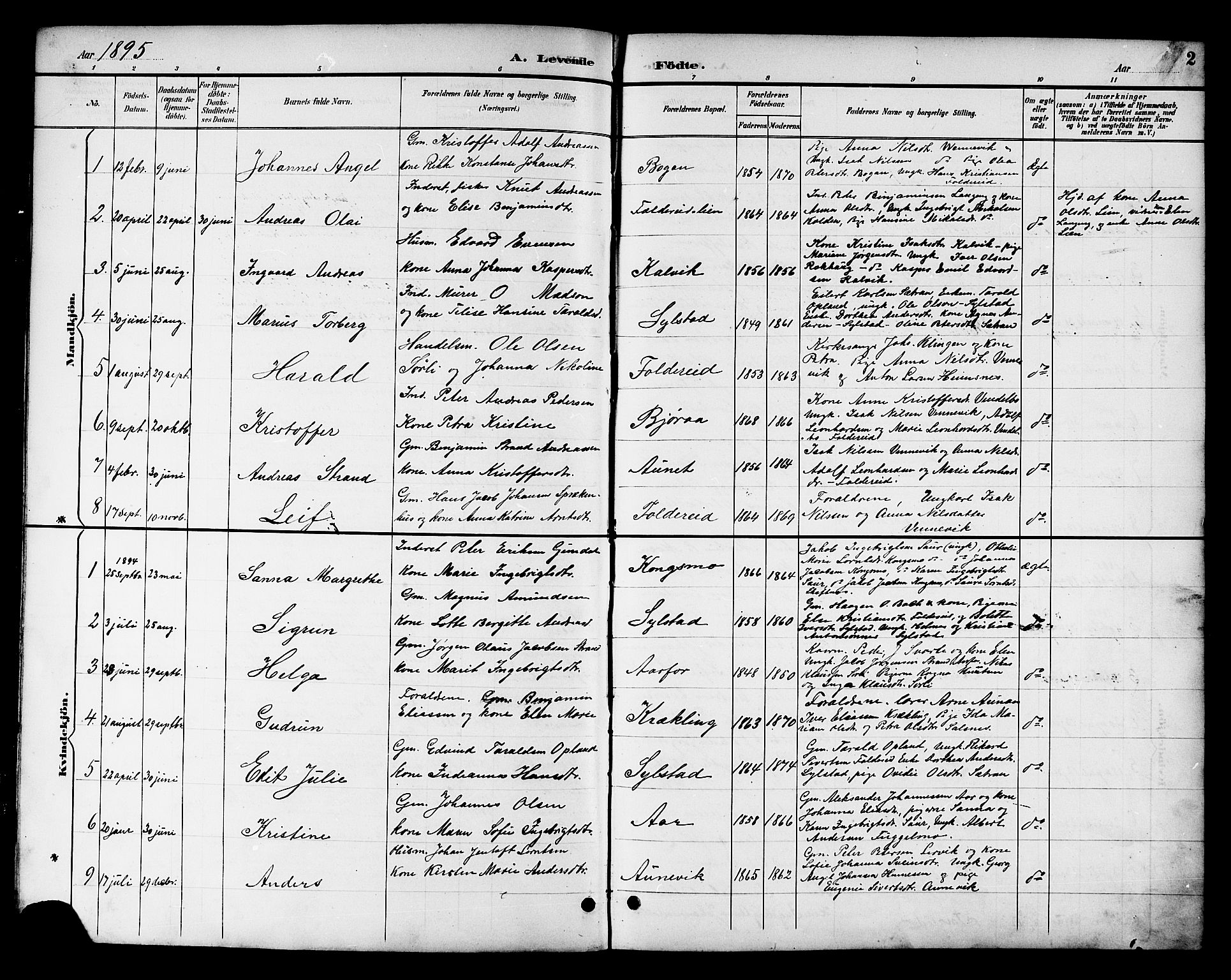 Ministerialprotokoller, klokkerbøker og fødselsregistre - Nord-Trøndelag, AV/SAT-A-1458/783/L0662: Klokkerbok nr. 783C02, 1894-1919, s. 2