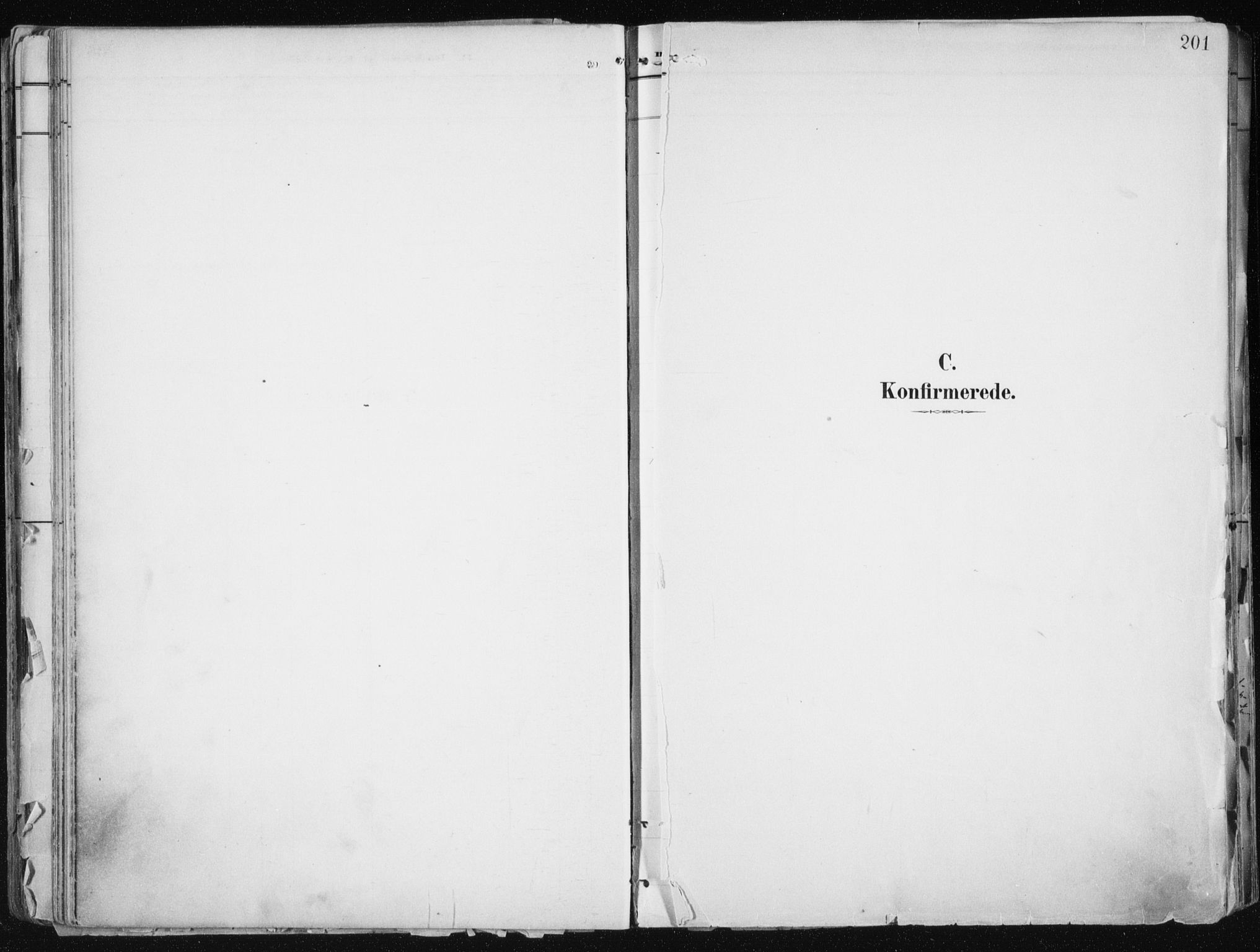 Tromsø sokneprestkontor/stiftsprosti/domprosti, SATØ/S-1343/G/Ga/L0015kirke: Ministerialbok nr. 15, 1889-1899, s. 201