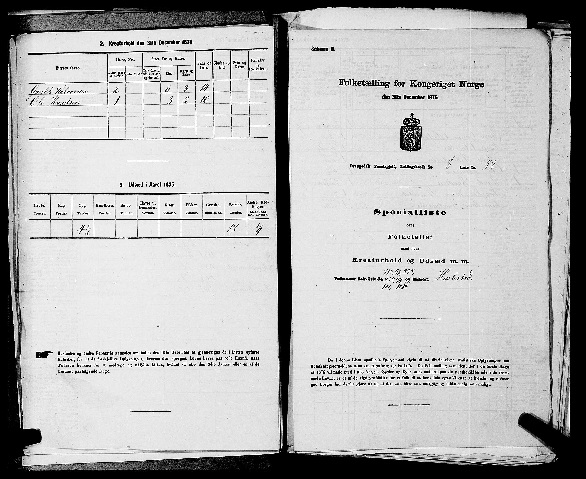 SAKO, Folketelling 1875 for 0817P Drangedal prestegjeld, 1875, s. 867