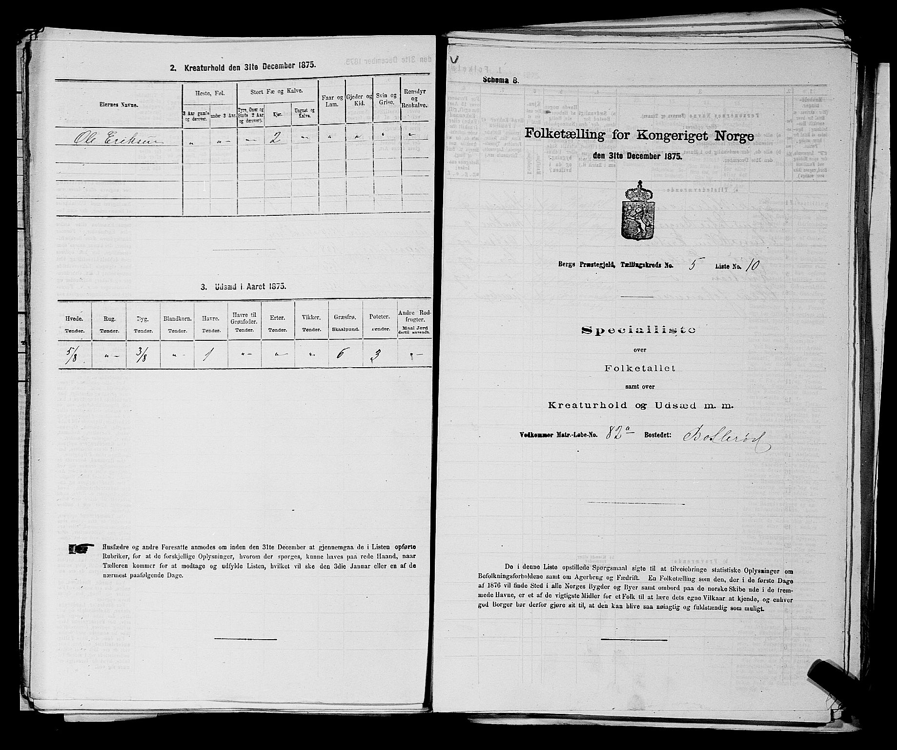 RA, Folketelling 1875 for 0116P Berg prestegjeld, 1875, s. 701