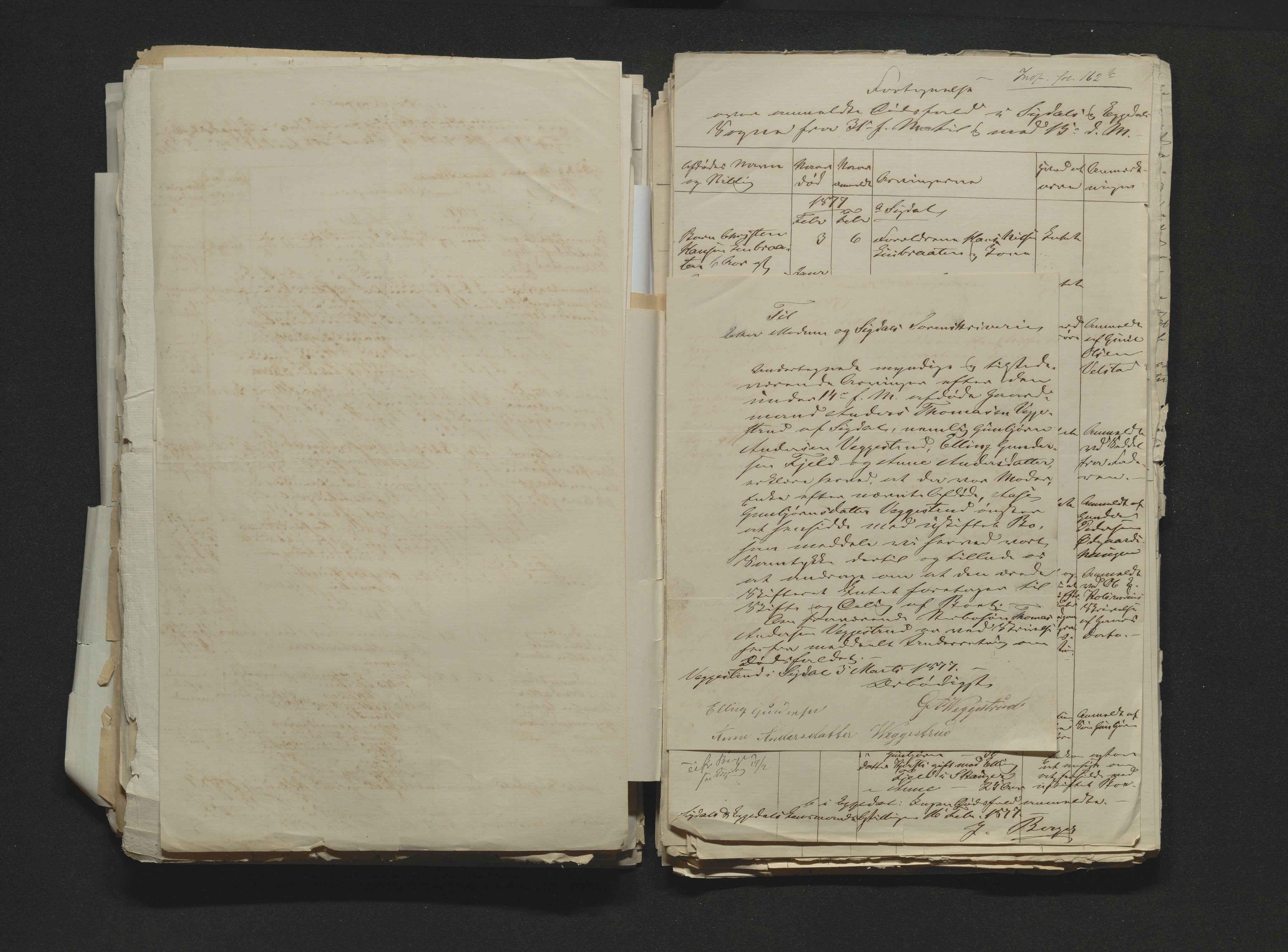 Eiker, Modum og Sigdal sorenskriveri, AV/SAKO-A-123/H/Ha/Hab/L0014: Dødsfallsmeldinger, 1874-1877, s. 696