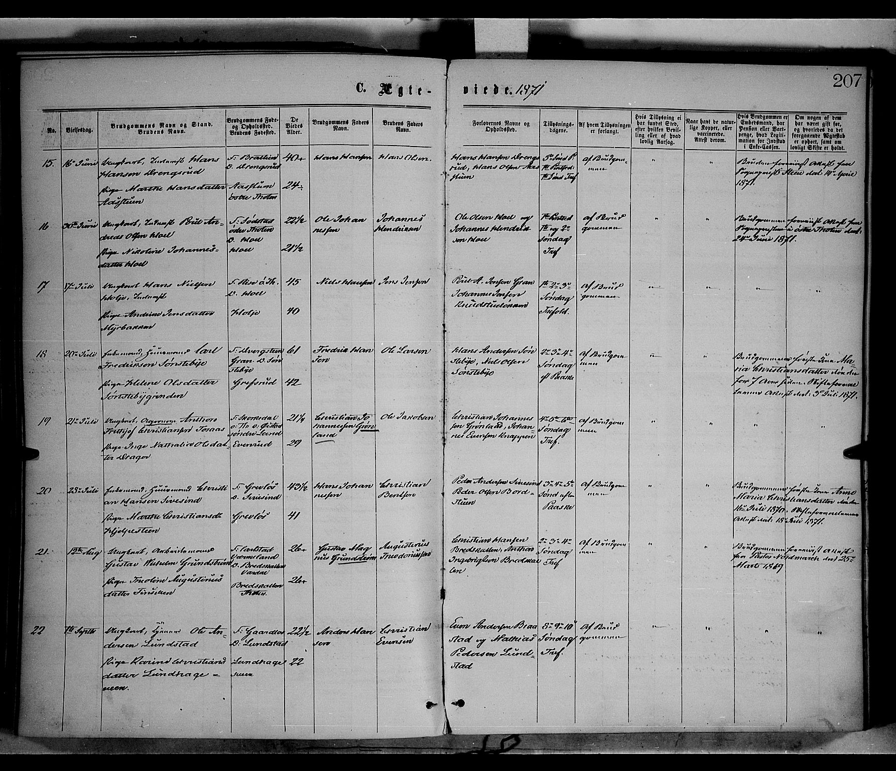 Vestre Toten prestekontor, SAH/PREST-108/H/Ha/Haa/L0008: Ministerialbok nr. 8, 1870-1877, s. 207