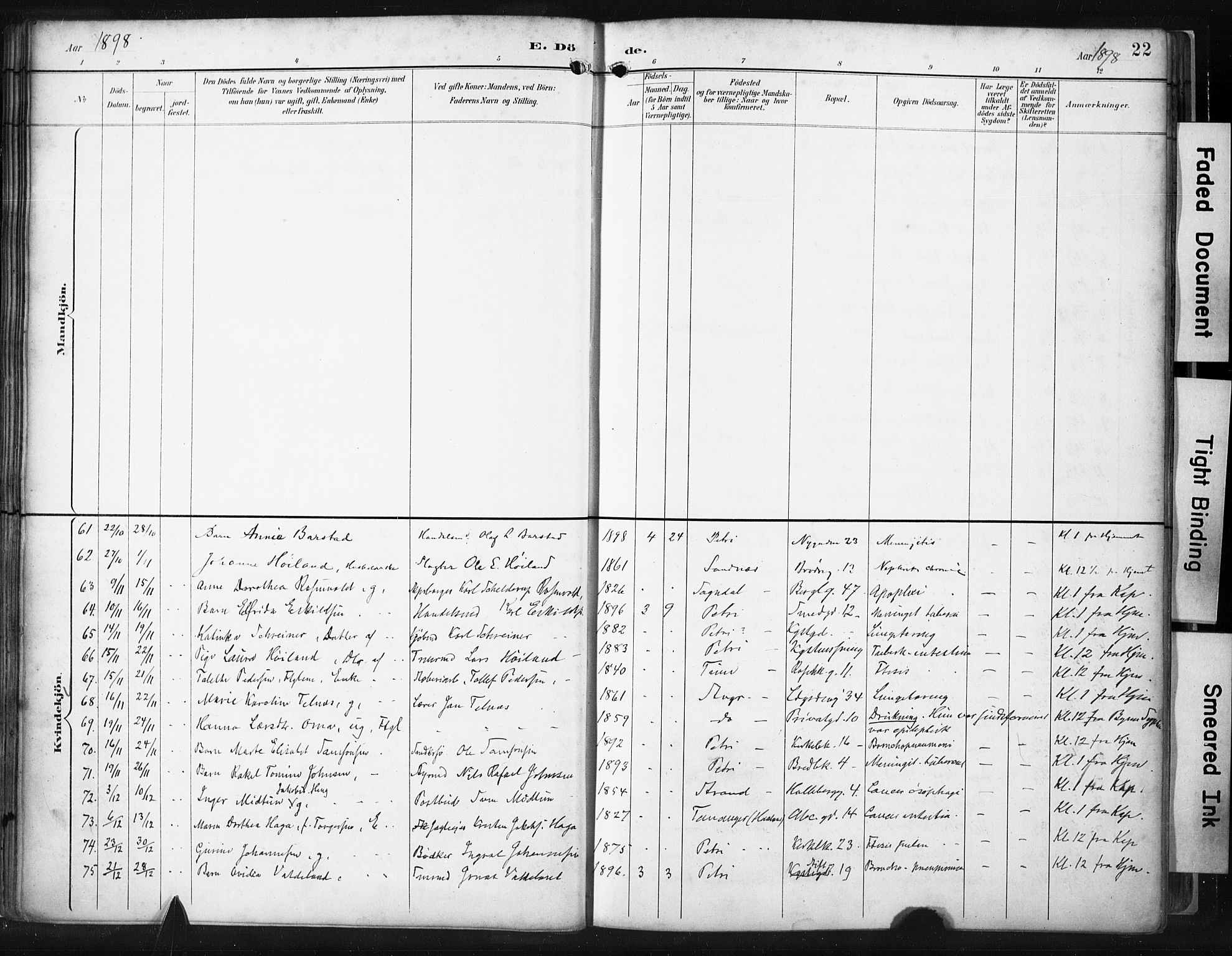St. Petri sokneprestkontor, AV/SAST-A-101813/001/30/30BA/L0022: Ministerialbok nr. A 22, 1895-1919, s. 22