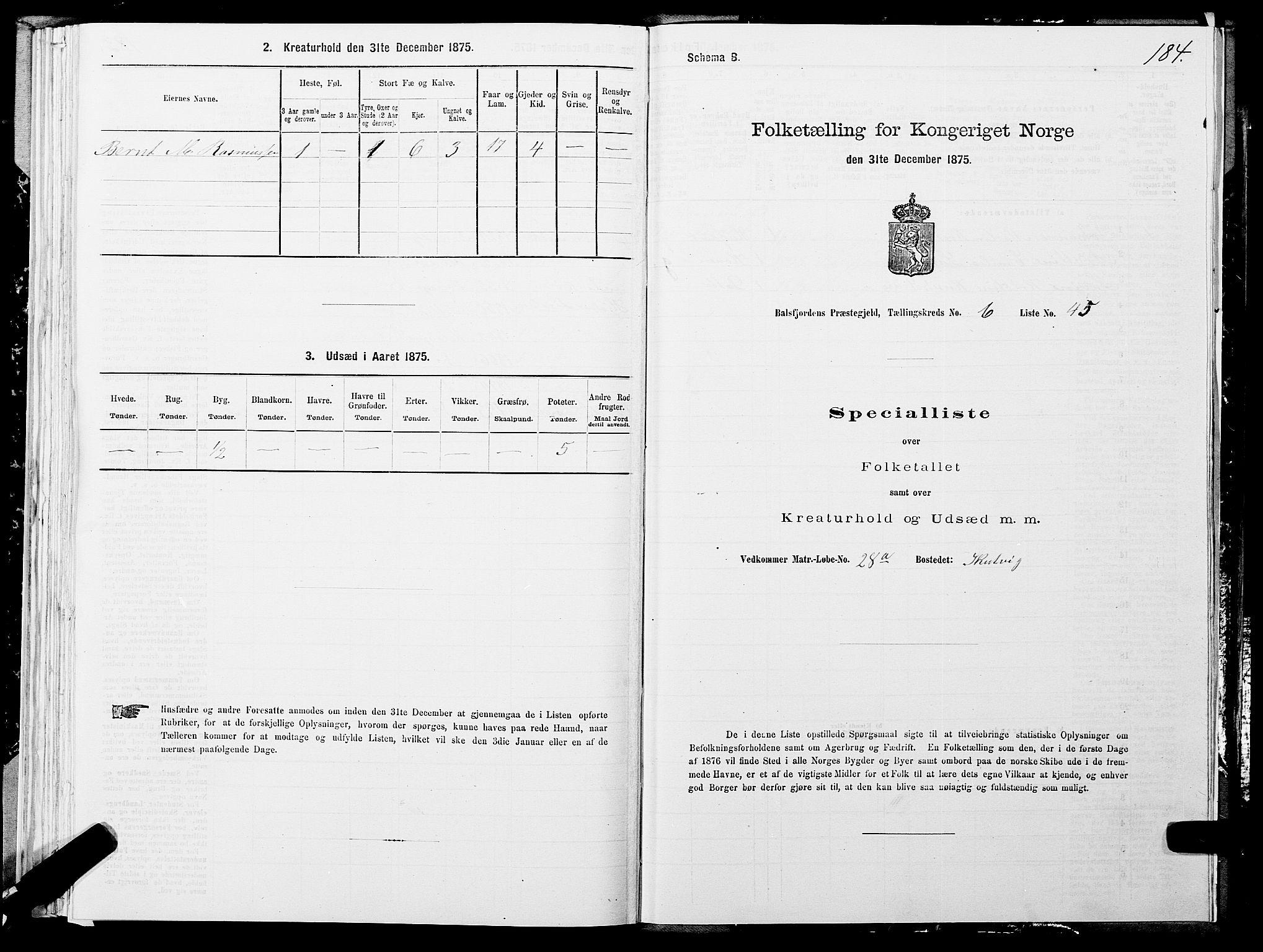 SATØ, Folketelling 1875 for 1933P Balsfjord prestegjeld, 1875, s. 3184