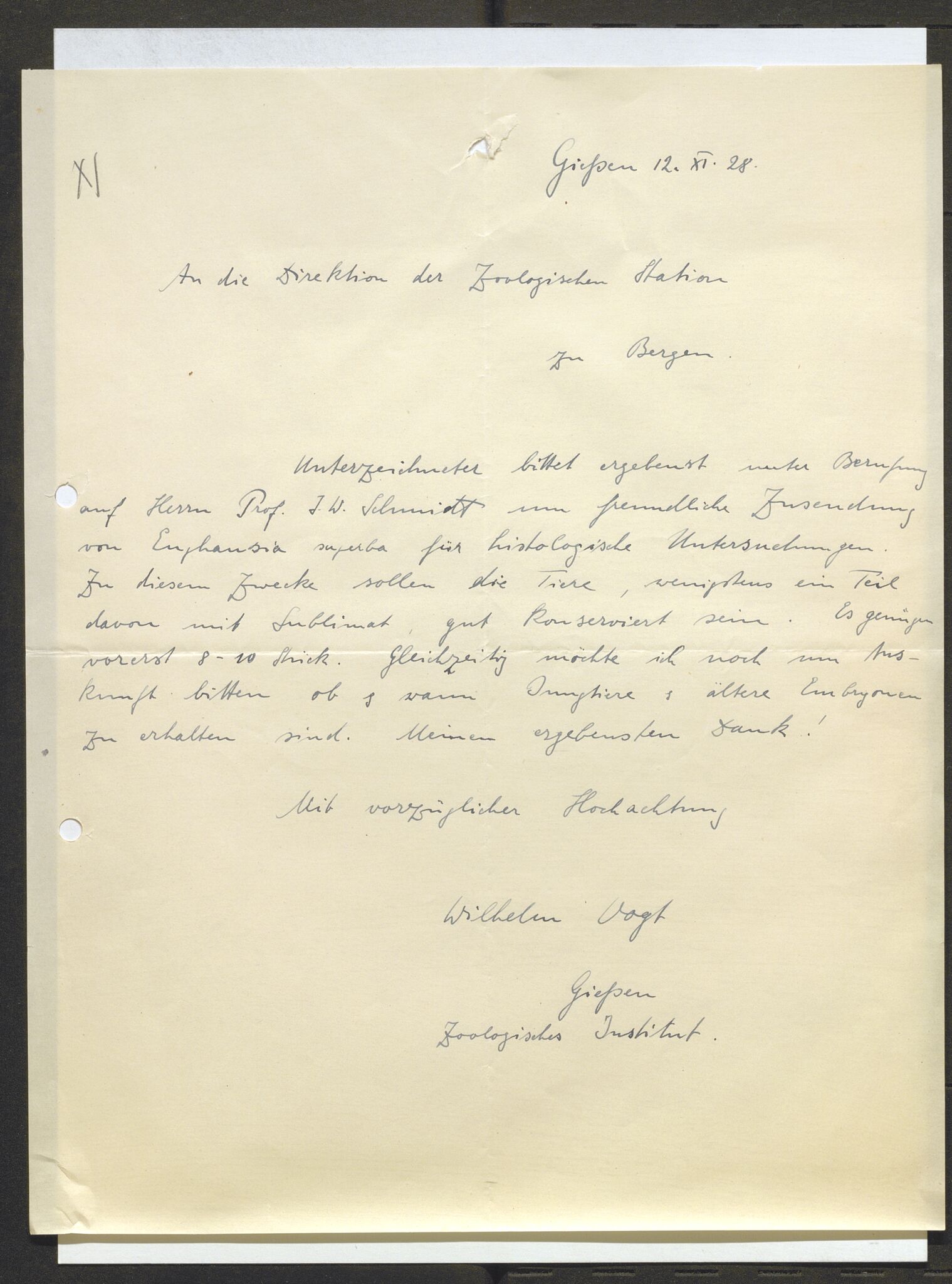 Bergens Museum, AV/SAB-A-17301/13/D/L0002: Korrespondanse , 1928-1940, s. 295