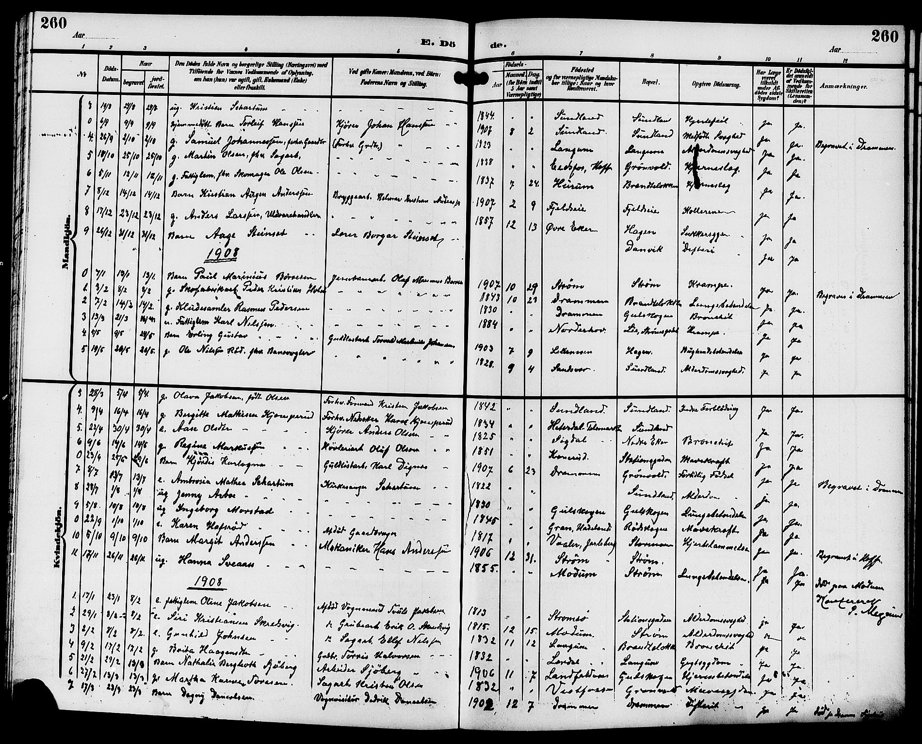 Strømsgodset kirkebøker, AV/SAKO-A-324/G/Ga/L0002: Klokkerbok nr. 2, 1885-1910, s. 260
