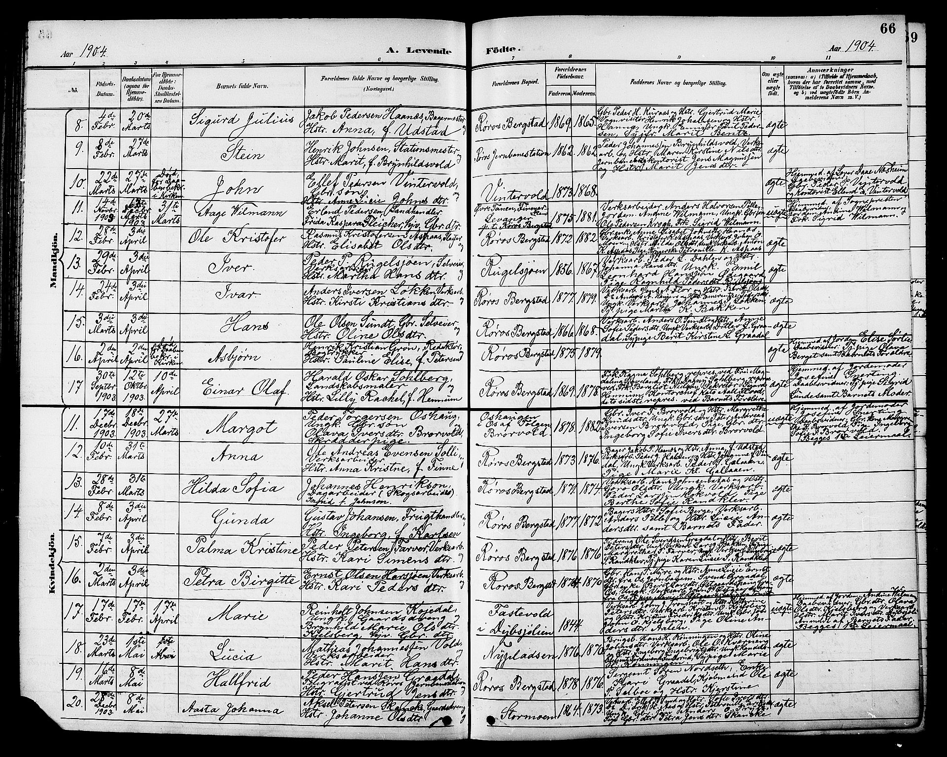 Ministerialprotokoller, klokkerbøker og fødselsregistre - Sør-Trøndelag, SAT/A-1456/681/L0941: Klokkerbok nr. 681C05, 1896-1905, s. 66