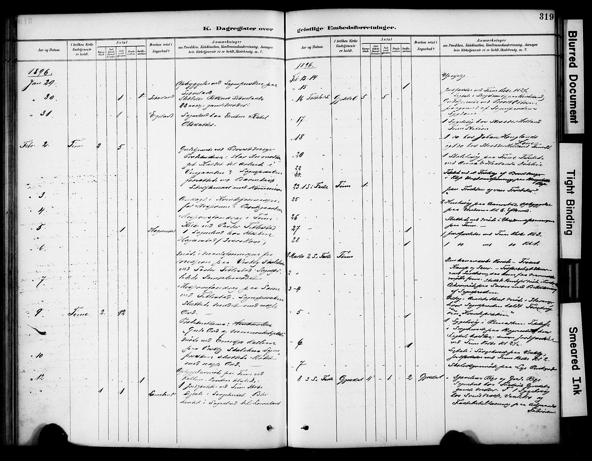 Lye sokneprestkontor, SAST/A-101794/001/30BA/L0011: Ministerialbok nr. A 9, 1893-1903, s. 319