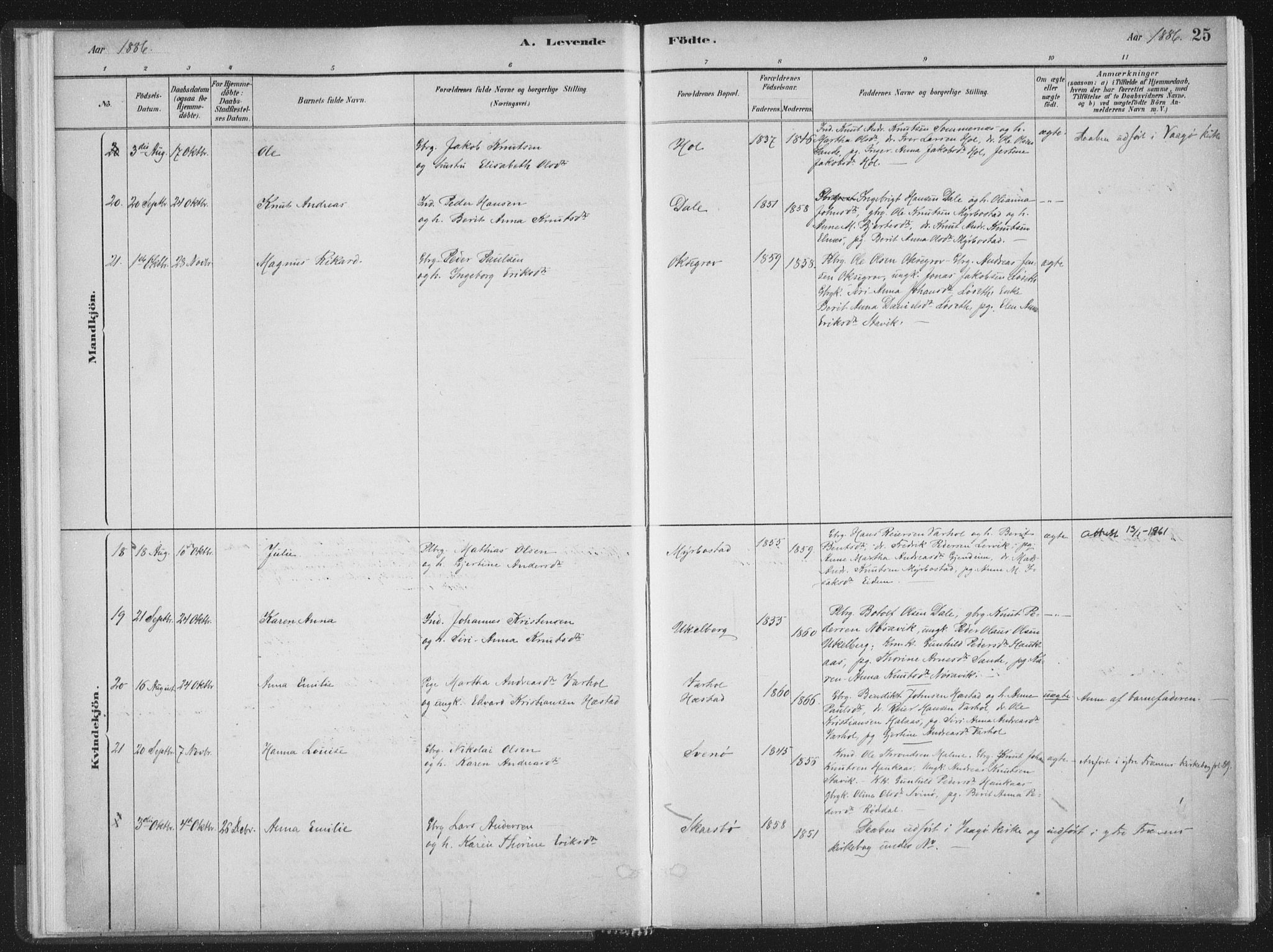 Ministerialprotokoller, klokkerbøker og fødselsregistre - Møre og Romsdal, AV/SAT-A-1454/564/L0740: Ministerialbok nr. 564A01, 1880-1899, s. 25