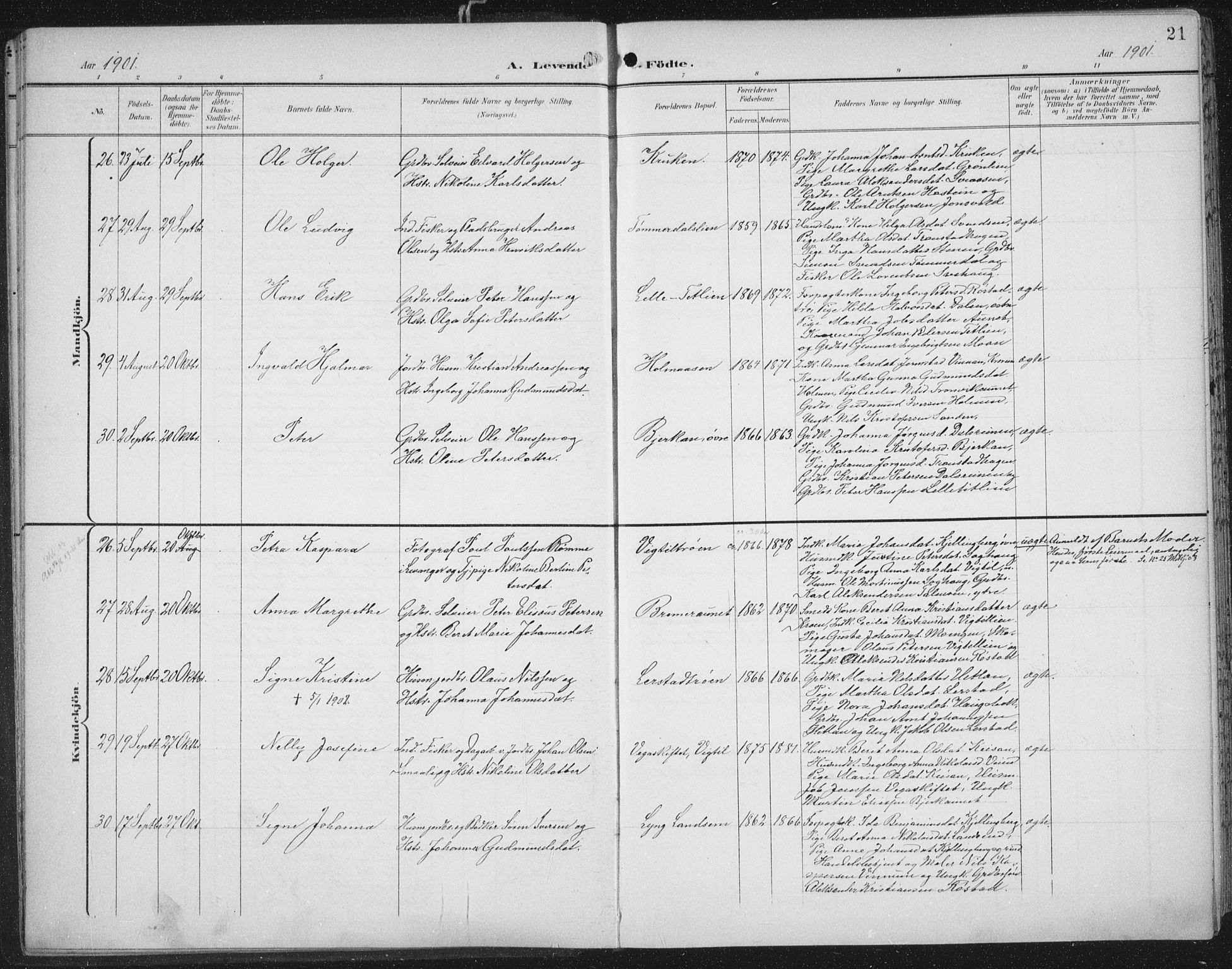 Ministerialprotokoller, klokkerbøker og fødselsregistre - Nord-Trøndelag, AV/SAT-A-1458/701/L0011: Ministerialbok nr. 701A11, 1899-1915, s. 21