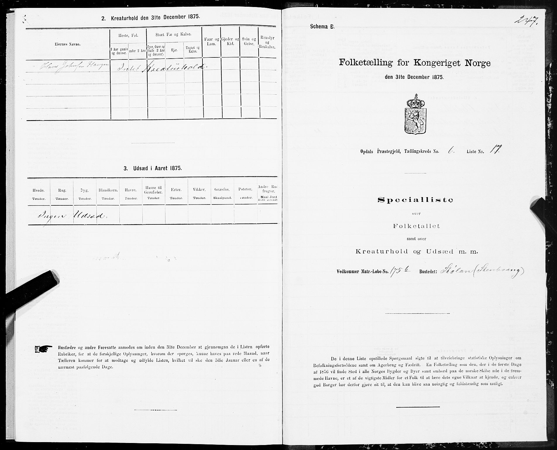 SAT, Folketelling 1875 for 1634P Oppdal prestegjeld, 1875, s. 3247