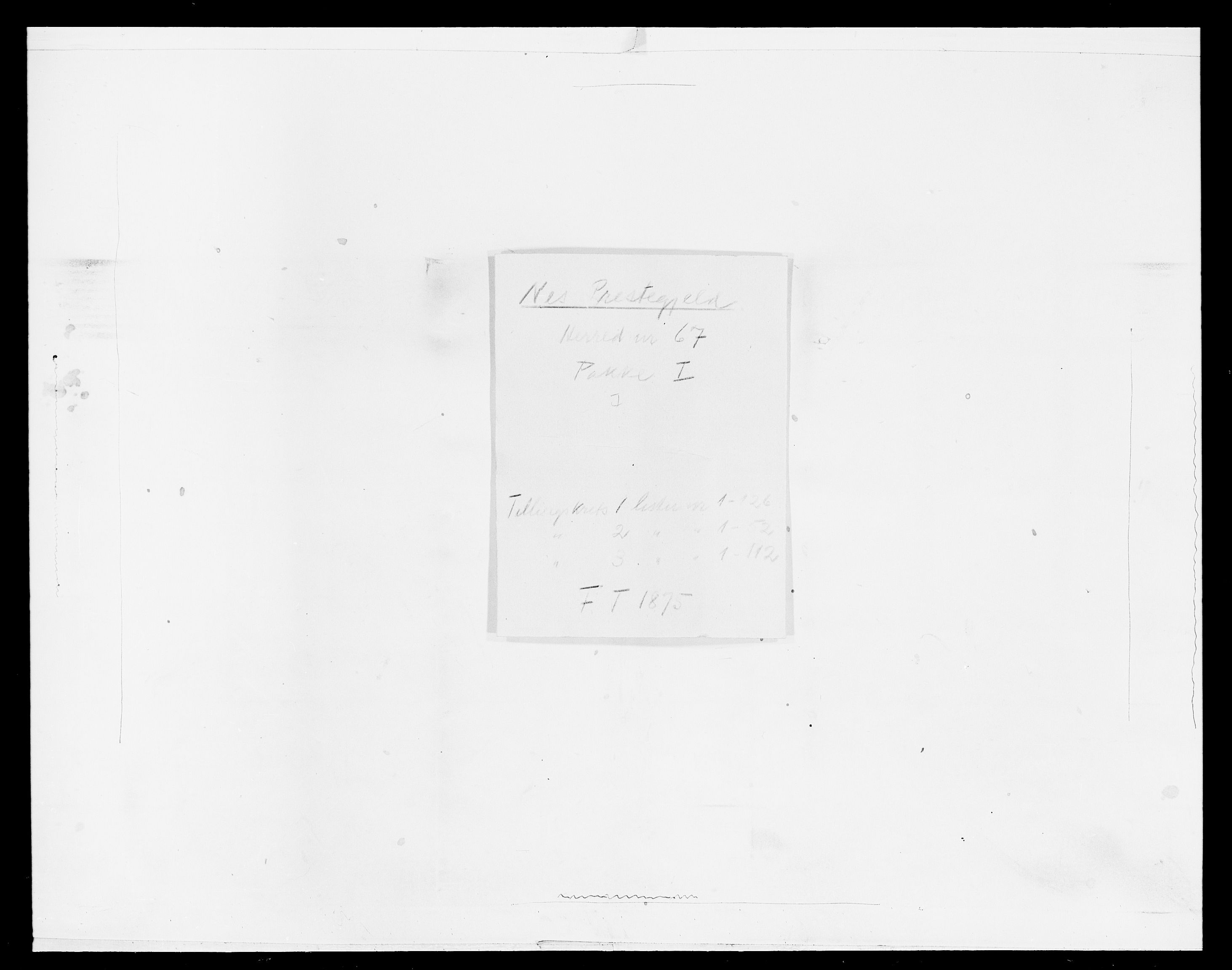 SAH, Folketelling 1875 for 0411P Nes prestegjeld, 1875, s. 77