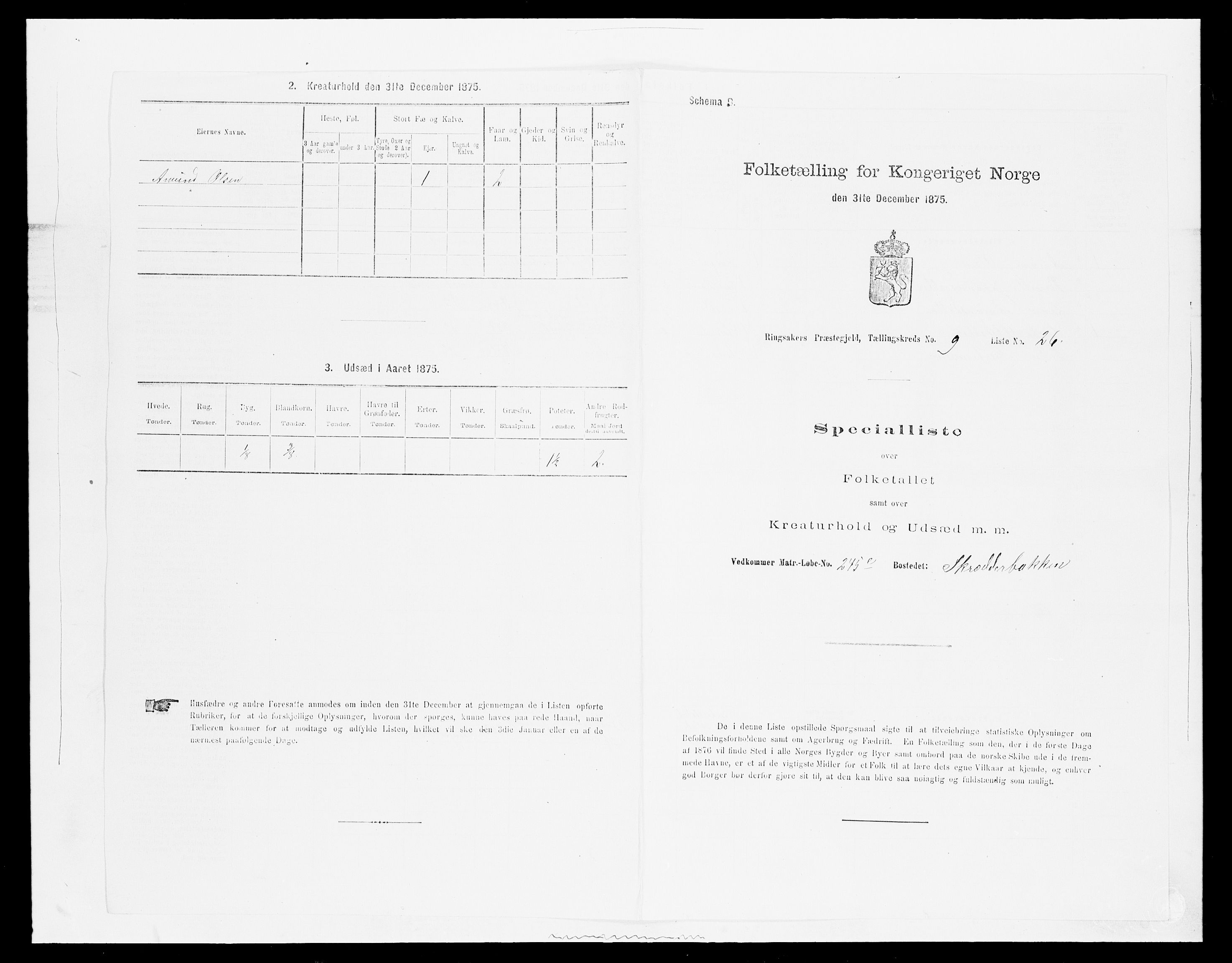 SAH, Folketelling 1875 for 0412P Ringsaker prestegjeld, 1875, s. 1843