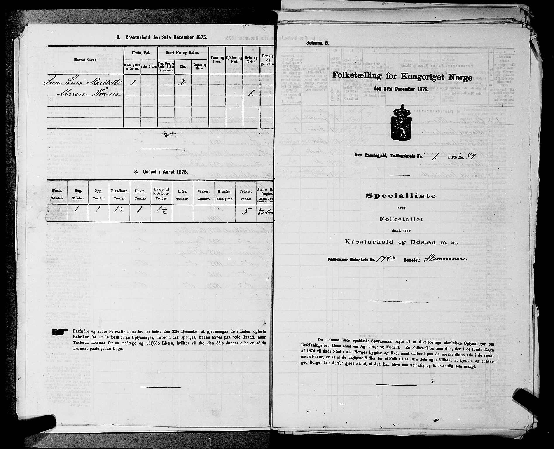 SAKO, Folketelling 1875 for 0616P Nes prestegjeld, 1875, s. 101