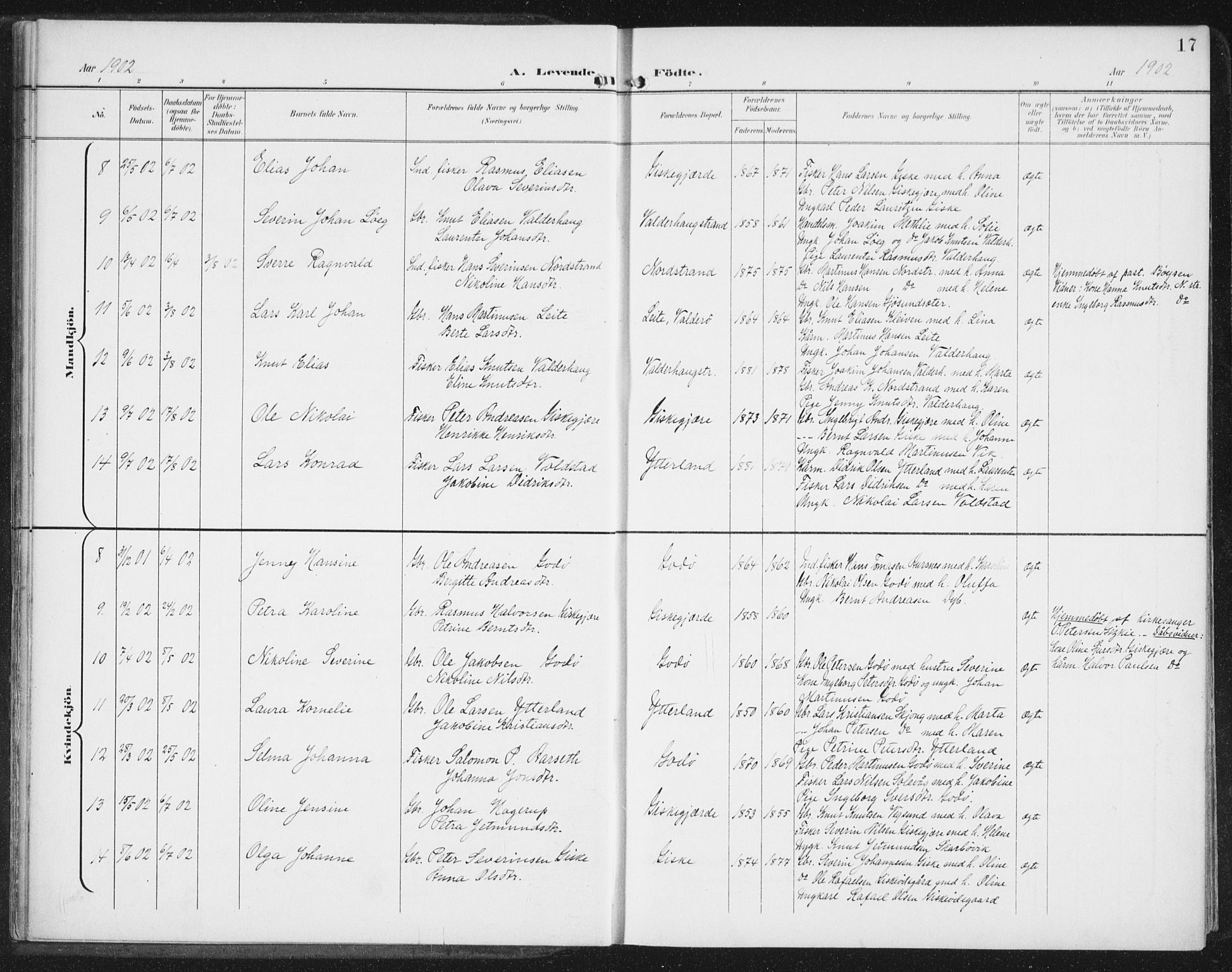 Ministerialprotokoller, klokkerbøker og fødselsregistre - Møre og Romsdal, AV/SAT-A-1454/534/L0489: Klokkerbok nr. 534C01, 1899-1941, s. 17