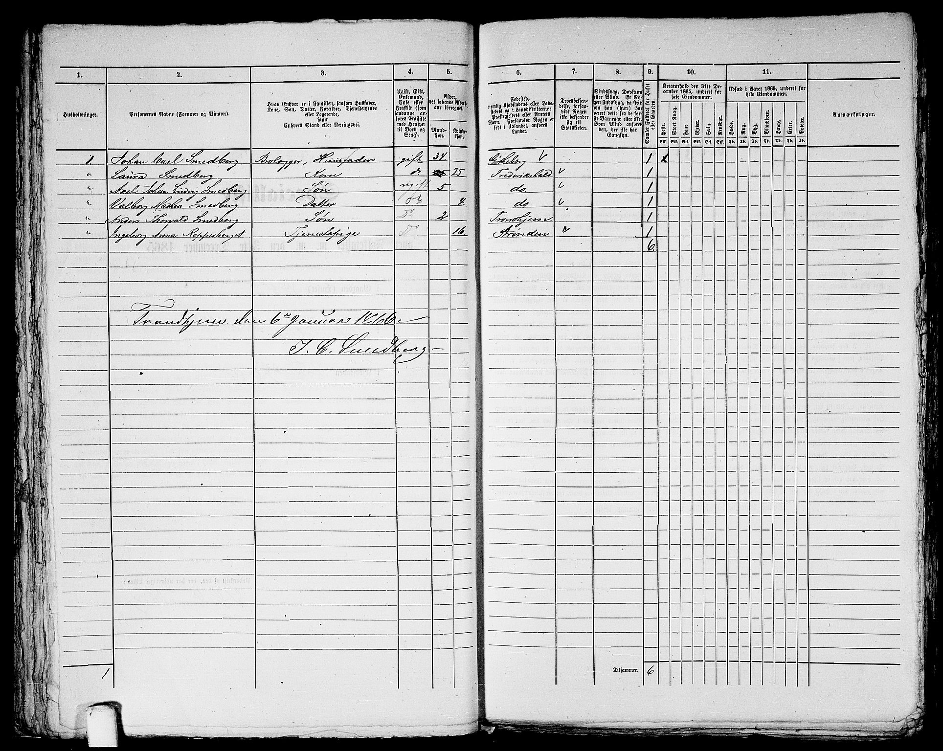 RA, Folketelling 1865 for 1601 Trondheim kjøpstad, 1865, s. 1131