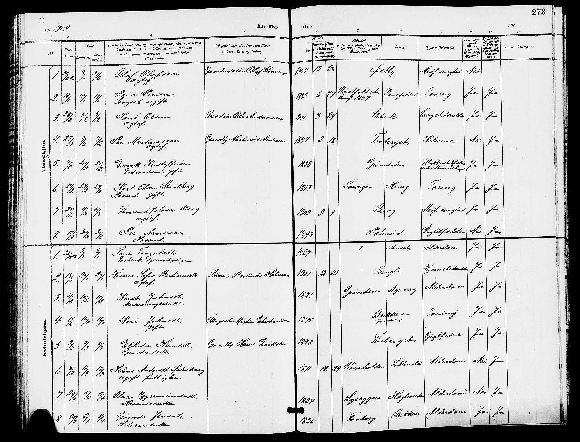 Trysil prestekontor, SAH/PREST-046/H/Ha/Hab/L0006: Klokkerbok nr. 6, 1896-1912, s. 273