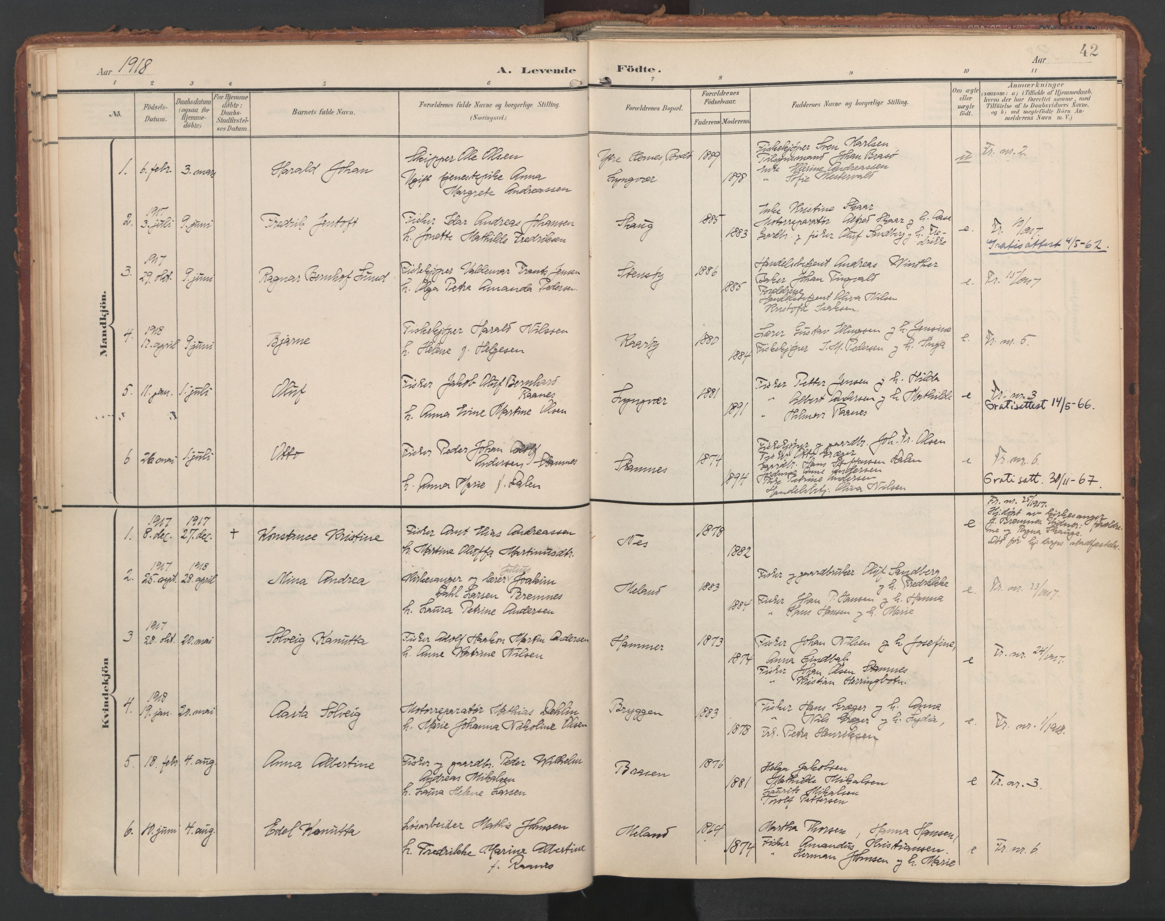 Ministerialprotokoller, klokkerbøker og fødselsregistre - Nordland, AV/SAT-A-1459/808/L0129: Ministerialbok nr. 808A02, 1903-1931, s. 42
