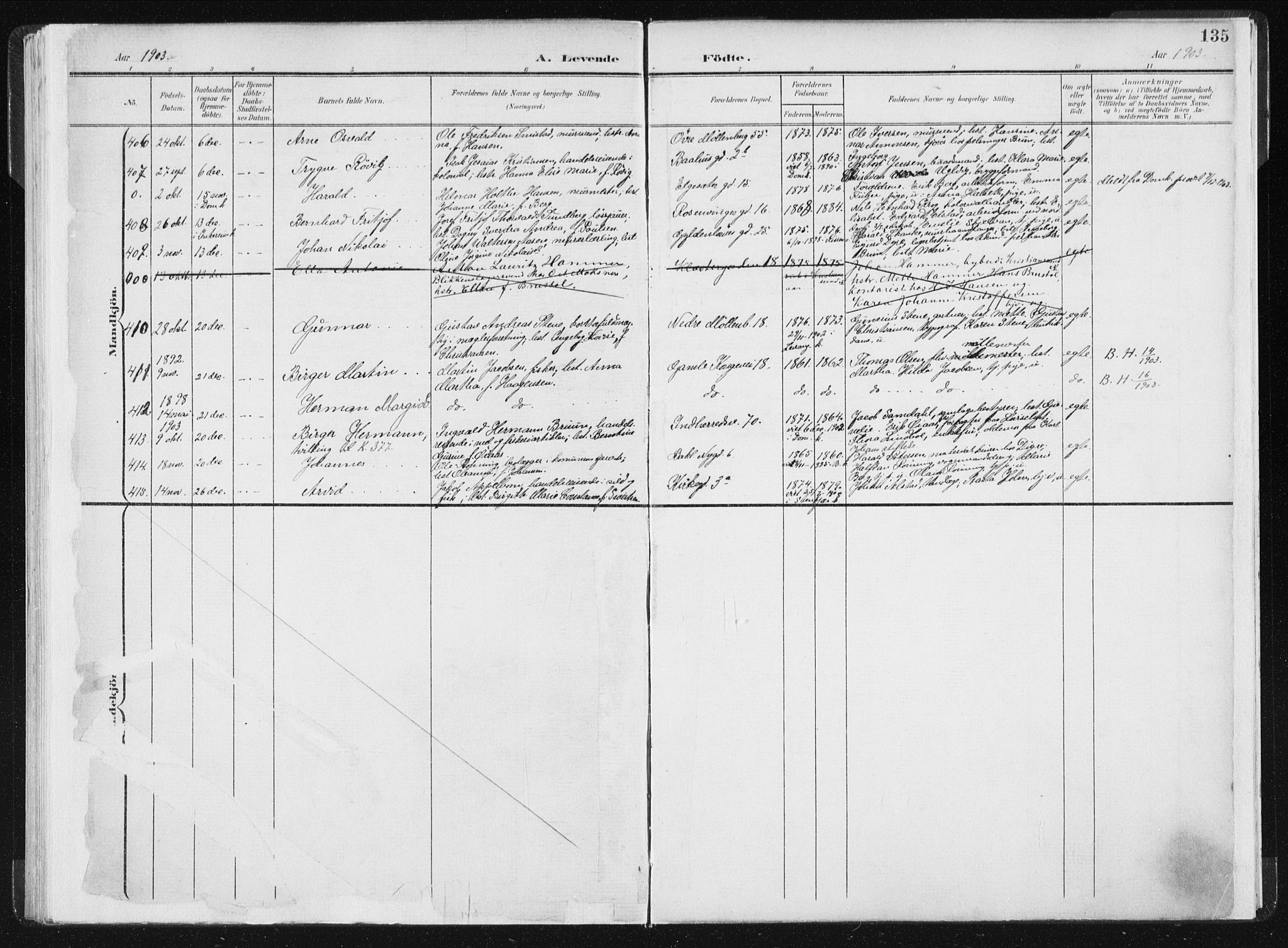 Ministerialprotokoller, klokkerbøker og fødselsregistre - Sør-Trøndelag, SAT/A-1456/604/L0199: Ministerialbok nr. 604A20I, 1901-1906, s. 135