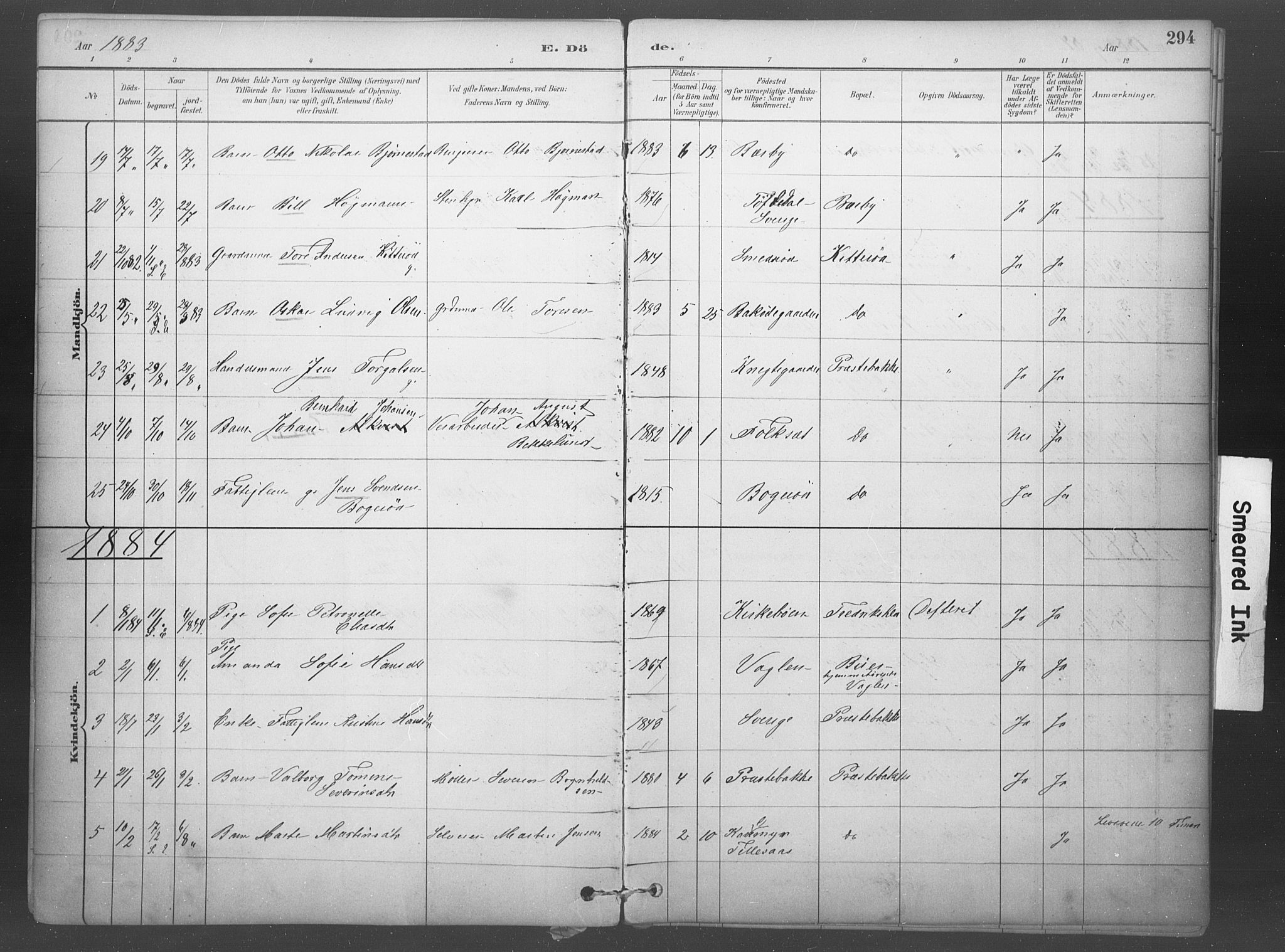 Idd prestekontor Kirkebøker, AV/SAO-A-10911/F/Fb/L0002: Ministerialbok nr. II 2, 1882-1923, s. 294