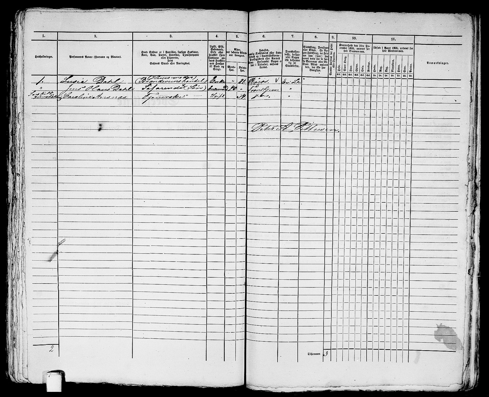 RA, Folketelling 1865 for 1601 Trondheim kjøpstad, 1865, s. 1976