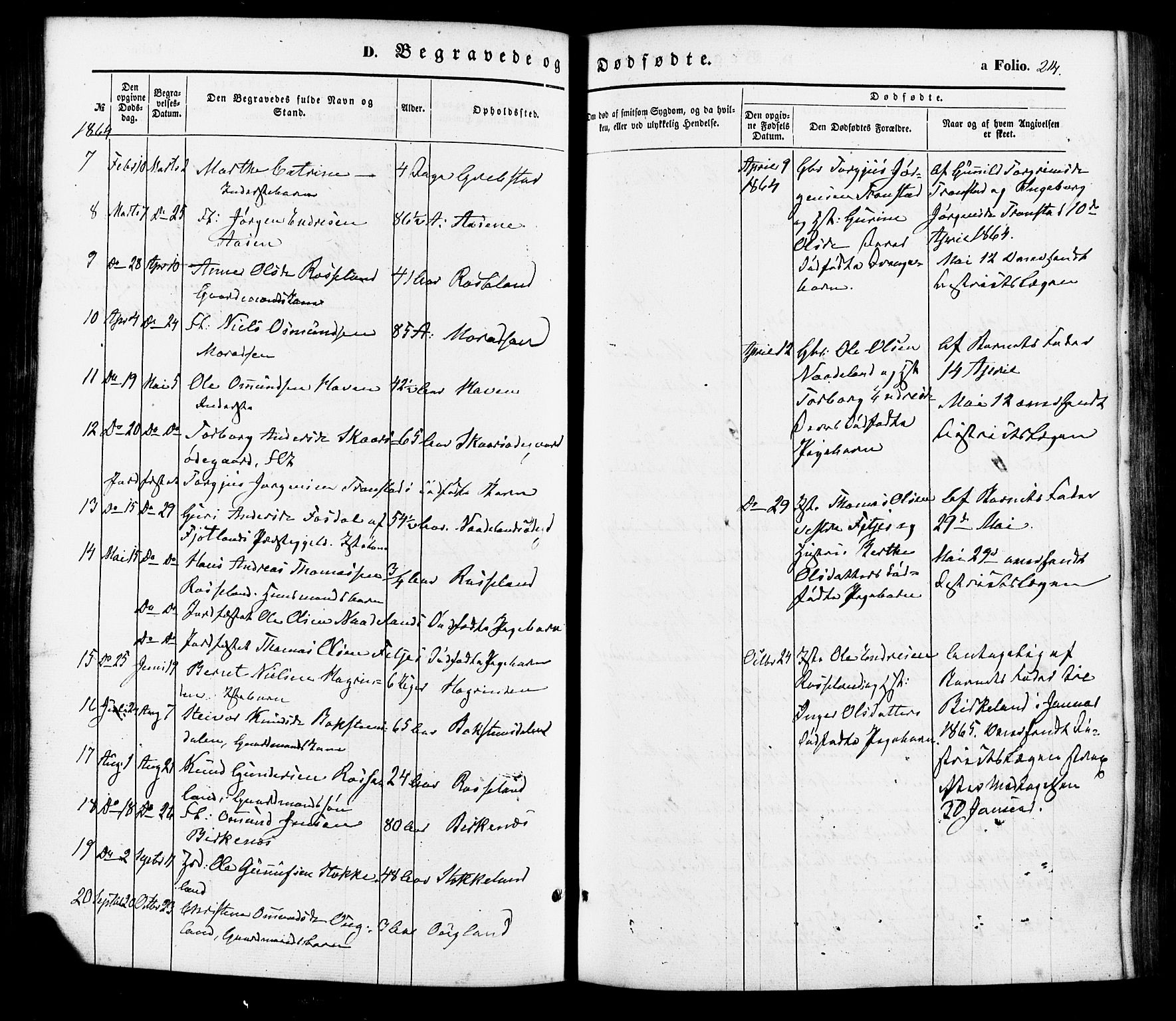Søgne sokneprestkontor, AV/SAK-1111-0037/F/Fa/Faa/L0002: Ministerialbok nr. A 2, 1854-1882, s. 214