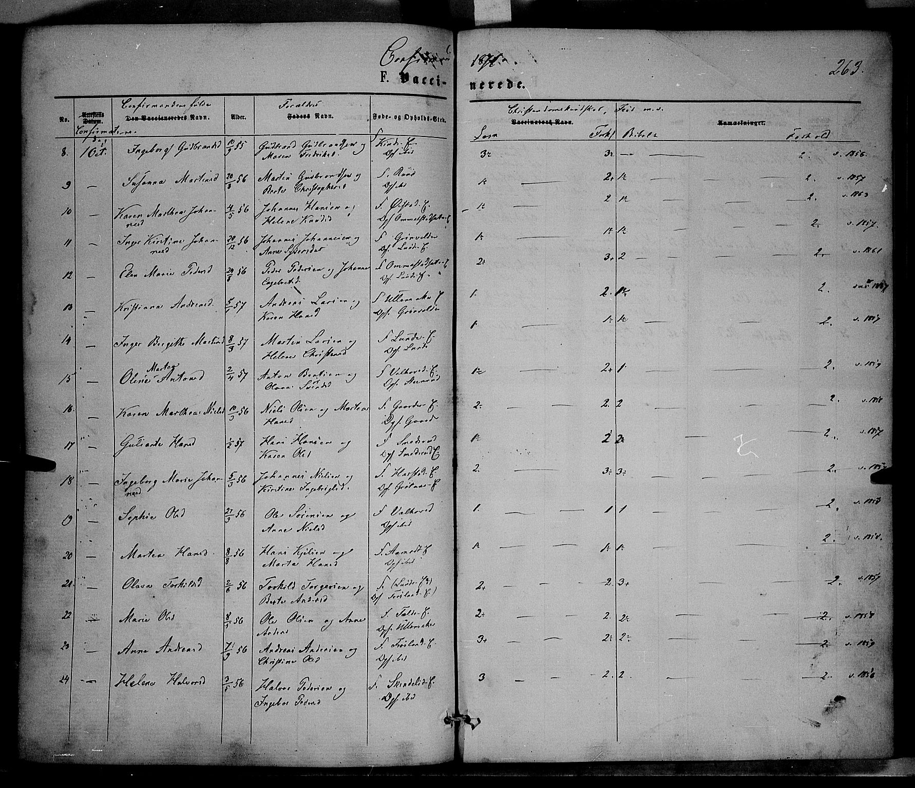 Nordre Land prestekontor, AV/SAH-PREST-124/H/Ha/Haa/L0001: Ministerialbok nr. 1, 1860-1871, s. 263
