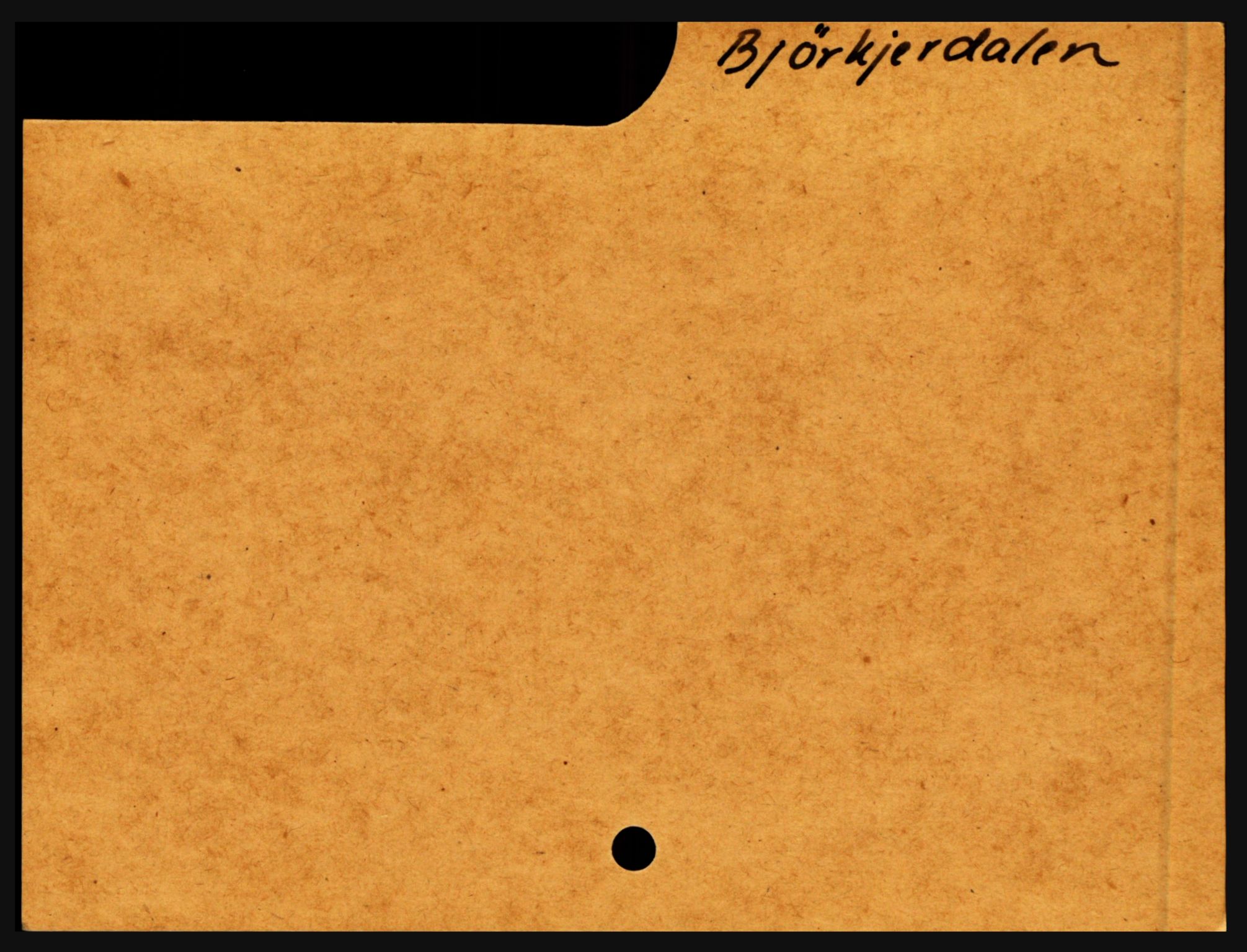 Nedenes sorenskriveri før 1824, SAK/1221-0007/H, s. 2913