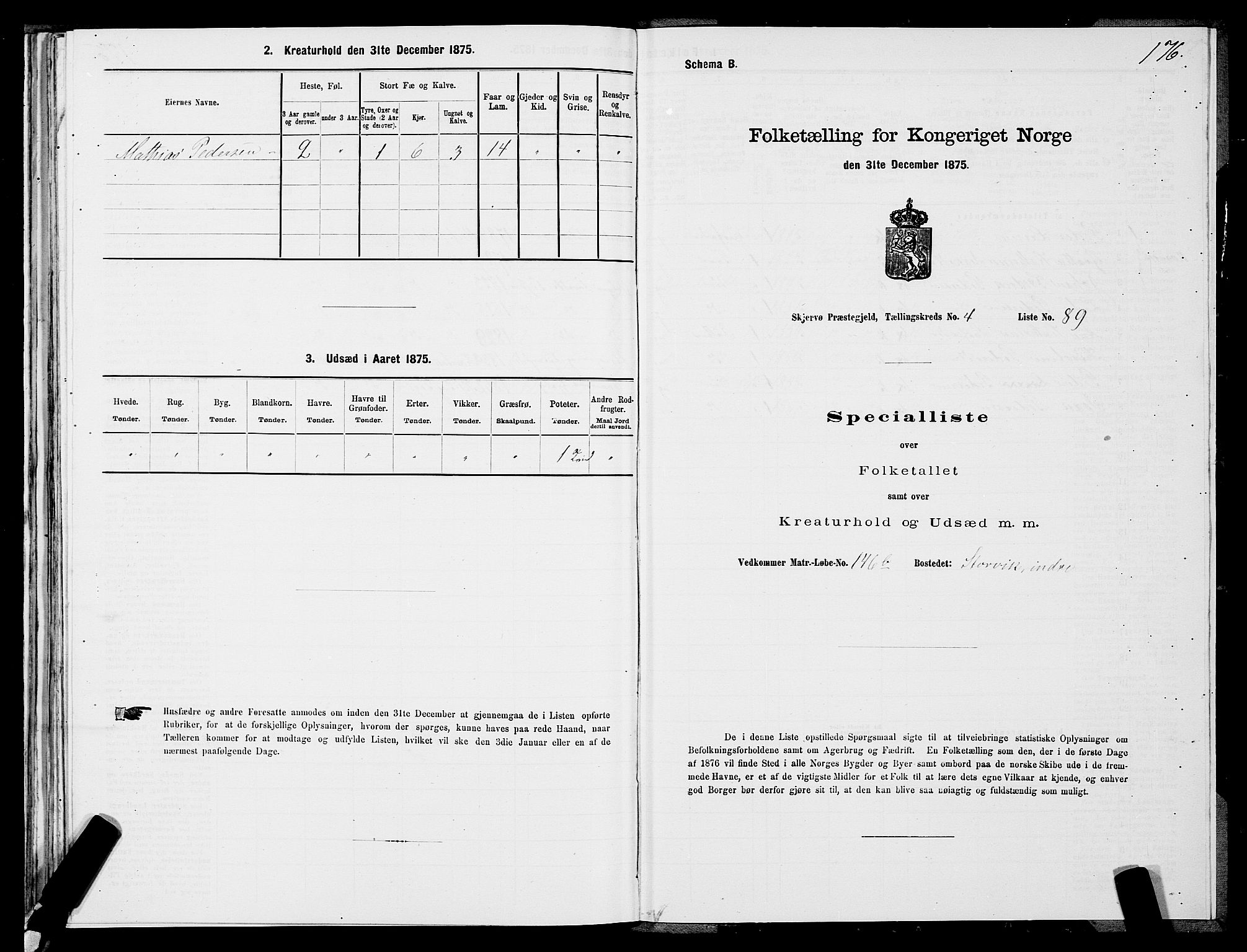 SATØ, Folketelling 1875 for 1941P Skjervøy prestegjeld, 1875, s. 3176