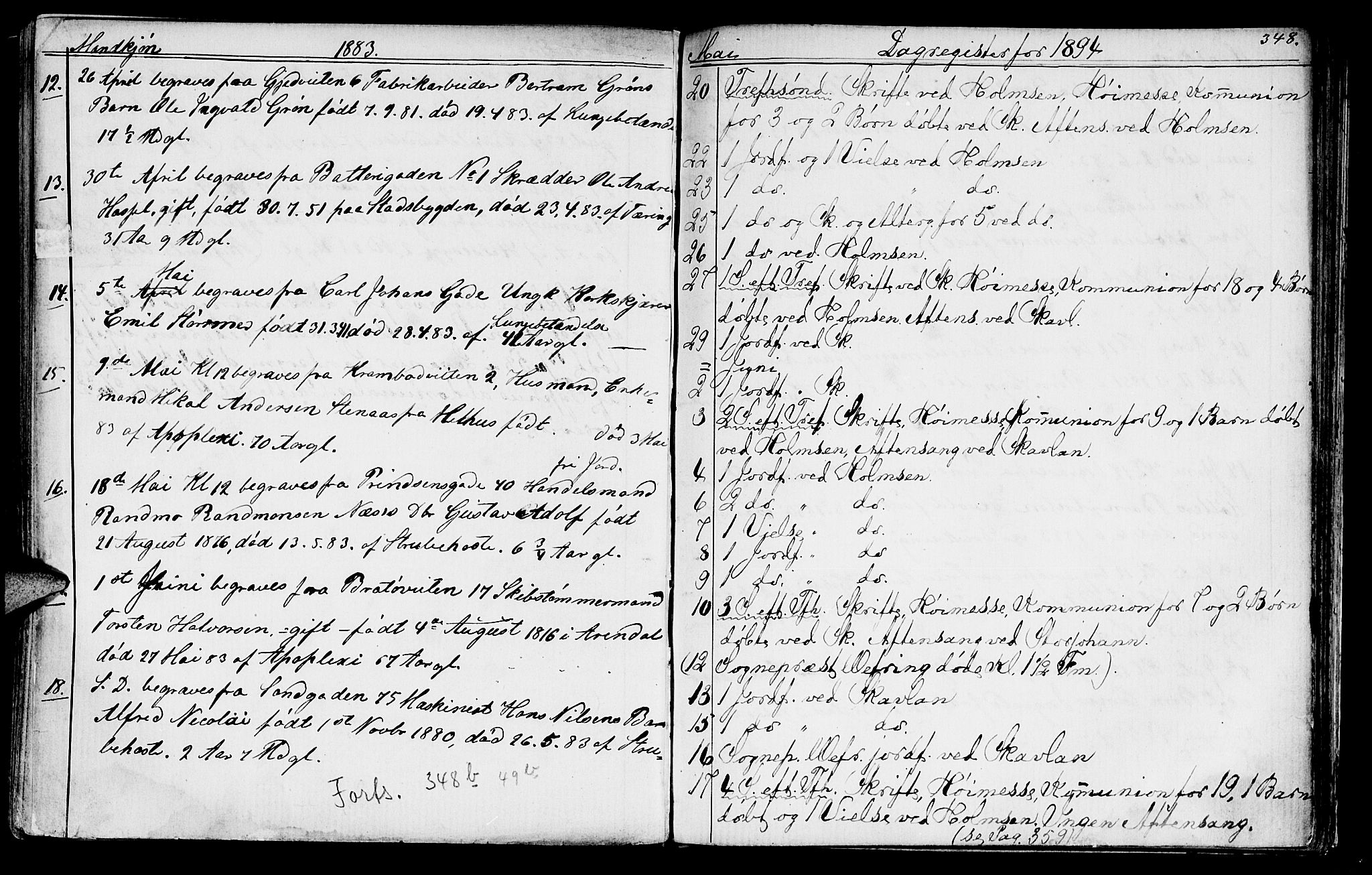 Ministerialprotokoller, klokkerbøker og fødselsregistre - Sør-Trøndelag, SAT/A-1456/602/L0142: Klokkerbok nr. 602C10, 1872-1894, s. 348