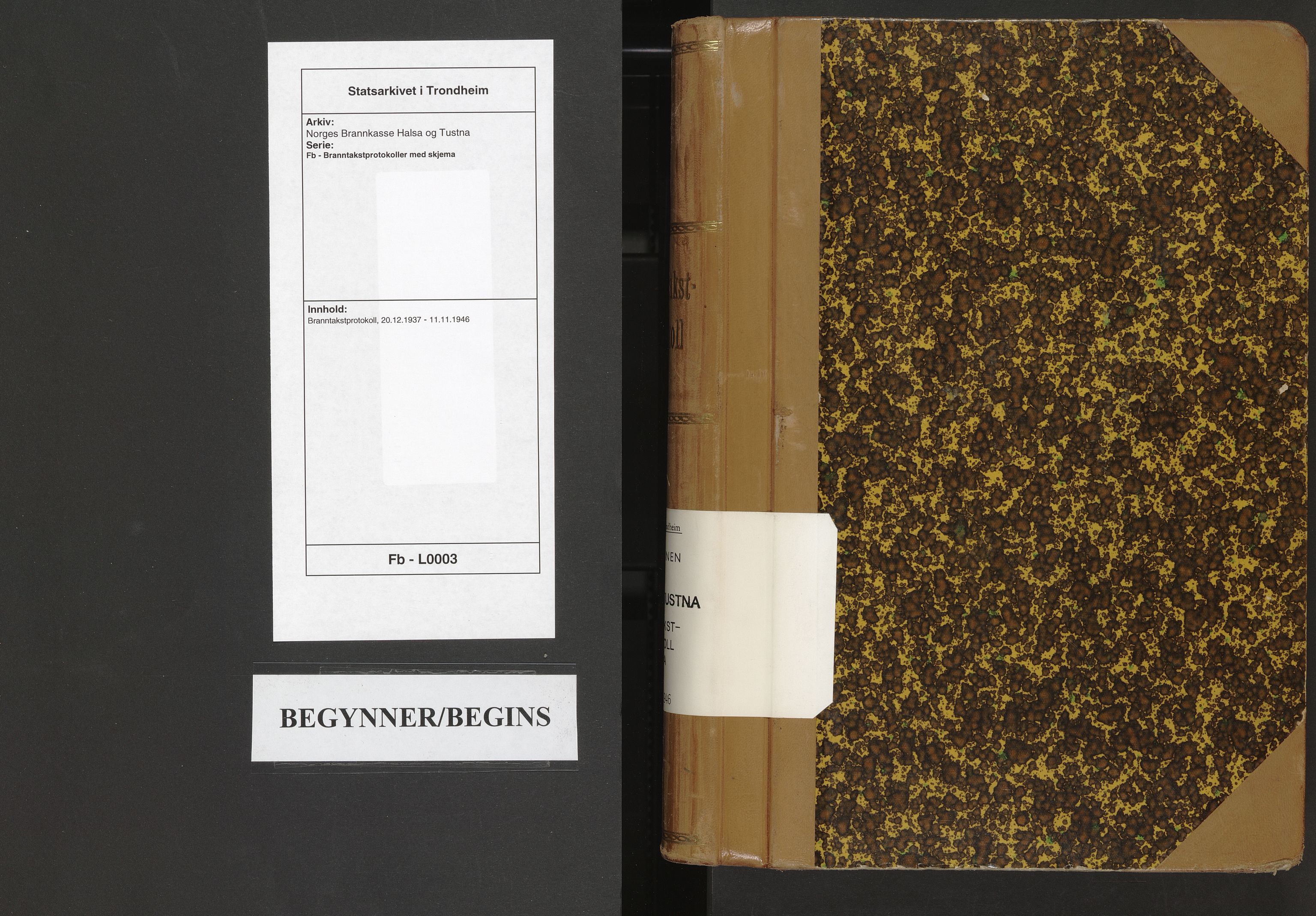 Norges Brannkasse Halsa og Tustna, AV/SAT-A-5511/Fb/L0003: Branntakstprotokoll, 1937-1946