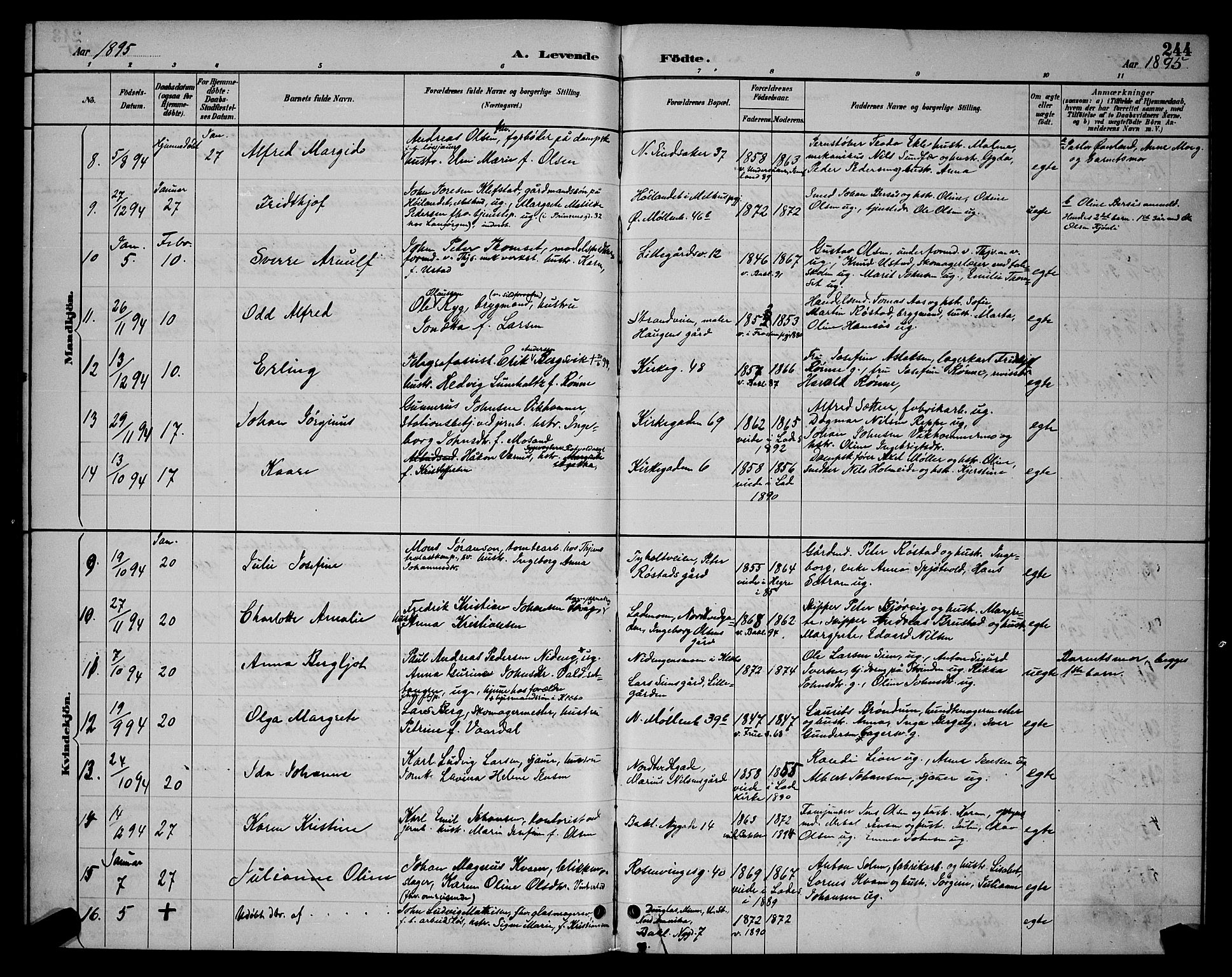 Ministerialprotokoller, klokkerbøker og fødselsregistre - Sør-Trøndelag, SAT/A-1456/604/L0222: Klokkerbok nr. 604C05, 1886-1895, s. 244