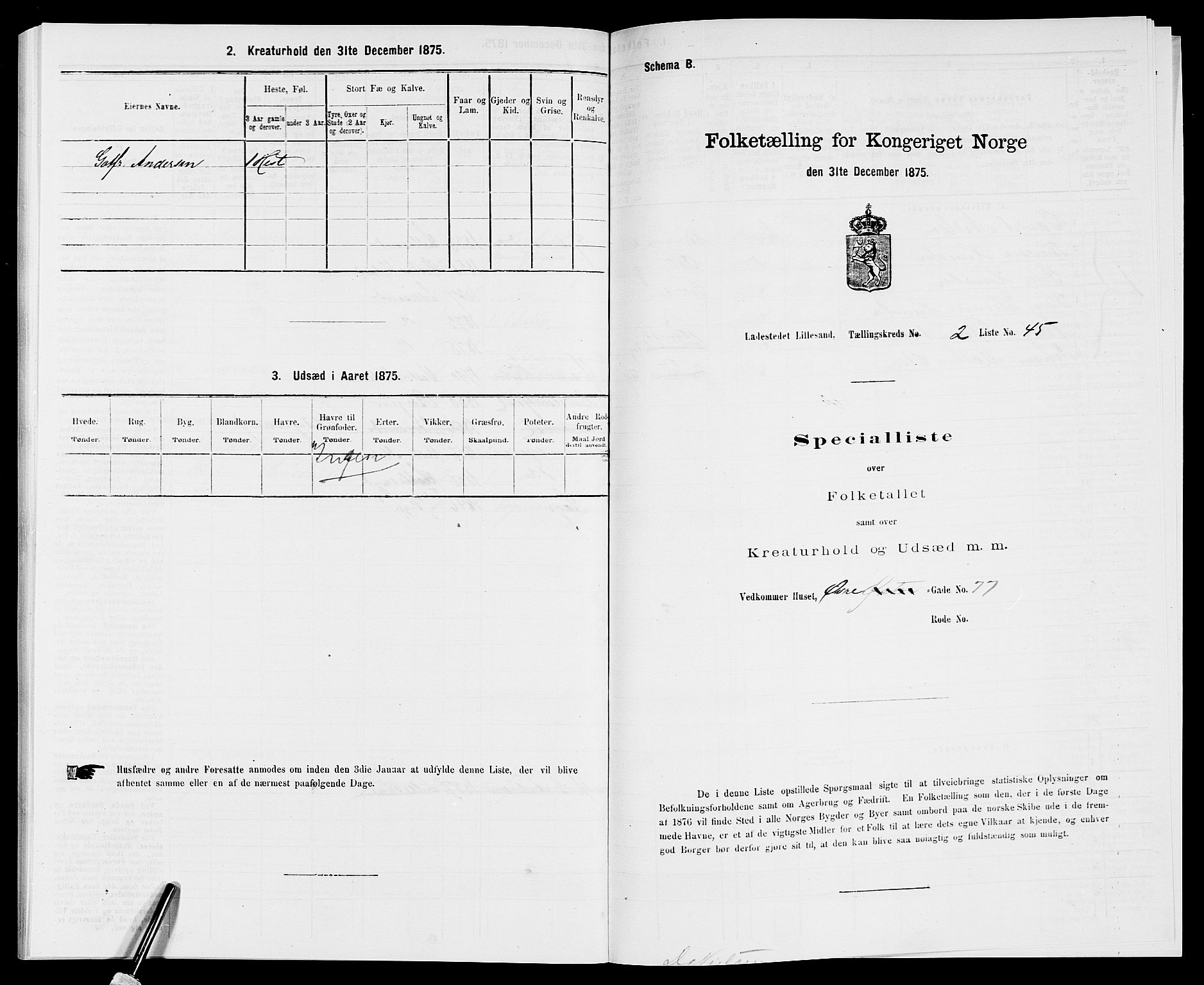 SAK, Folketelling 1875 for 0905B Vestre Moland prestegjeld, Lillesand ladested, 1875, s. 196