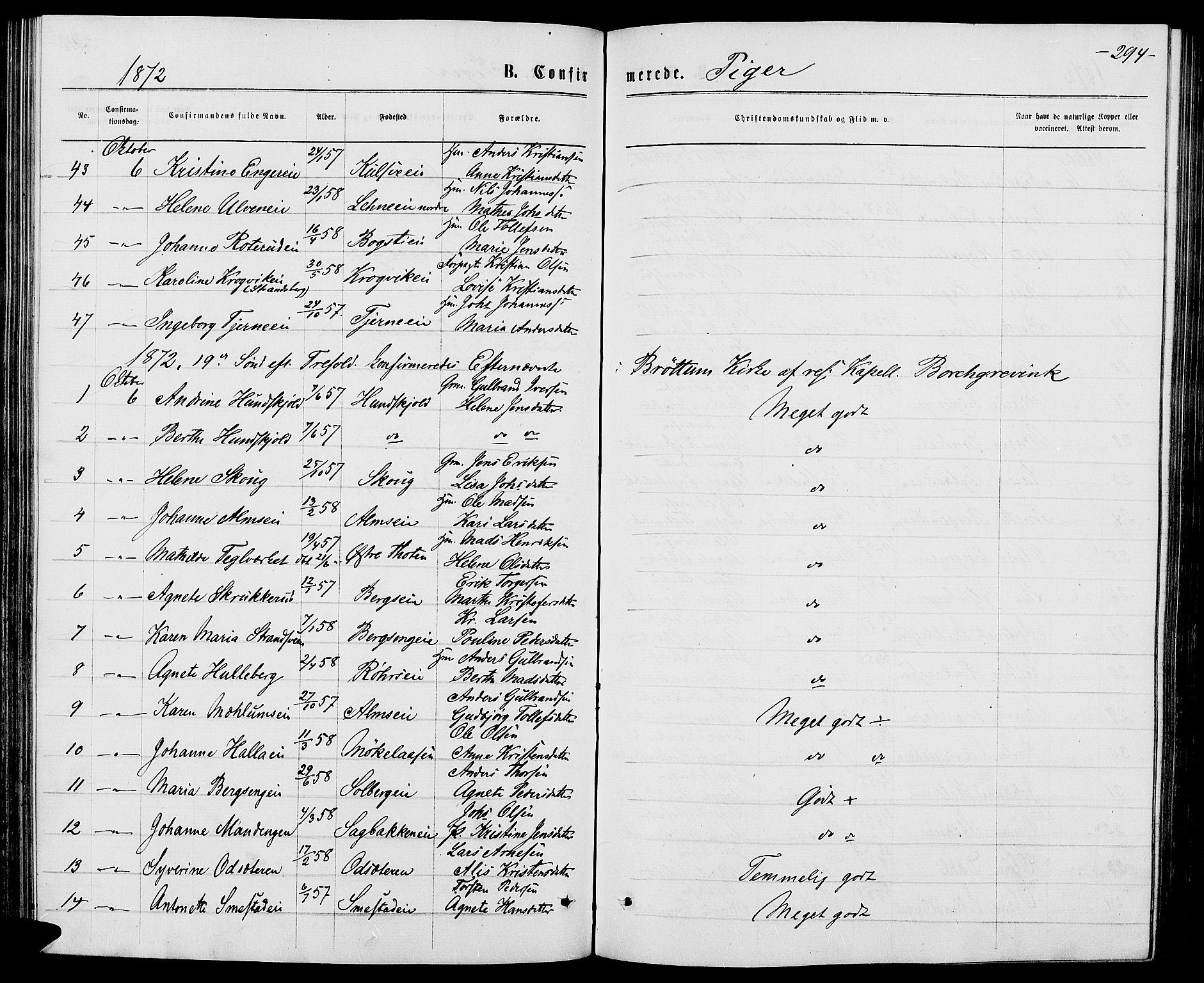 Ringsaker prestekontor, AV/SAH-PREST-014/L/La/L0008: Klokkerbok nr. 8, 1870-1878, s. 294