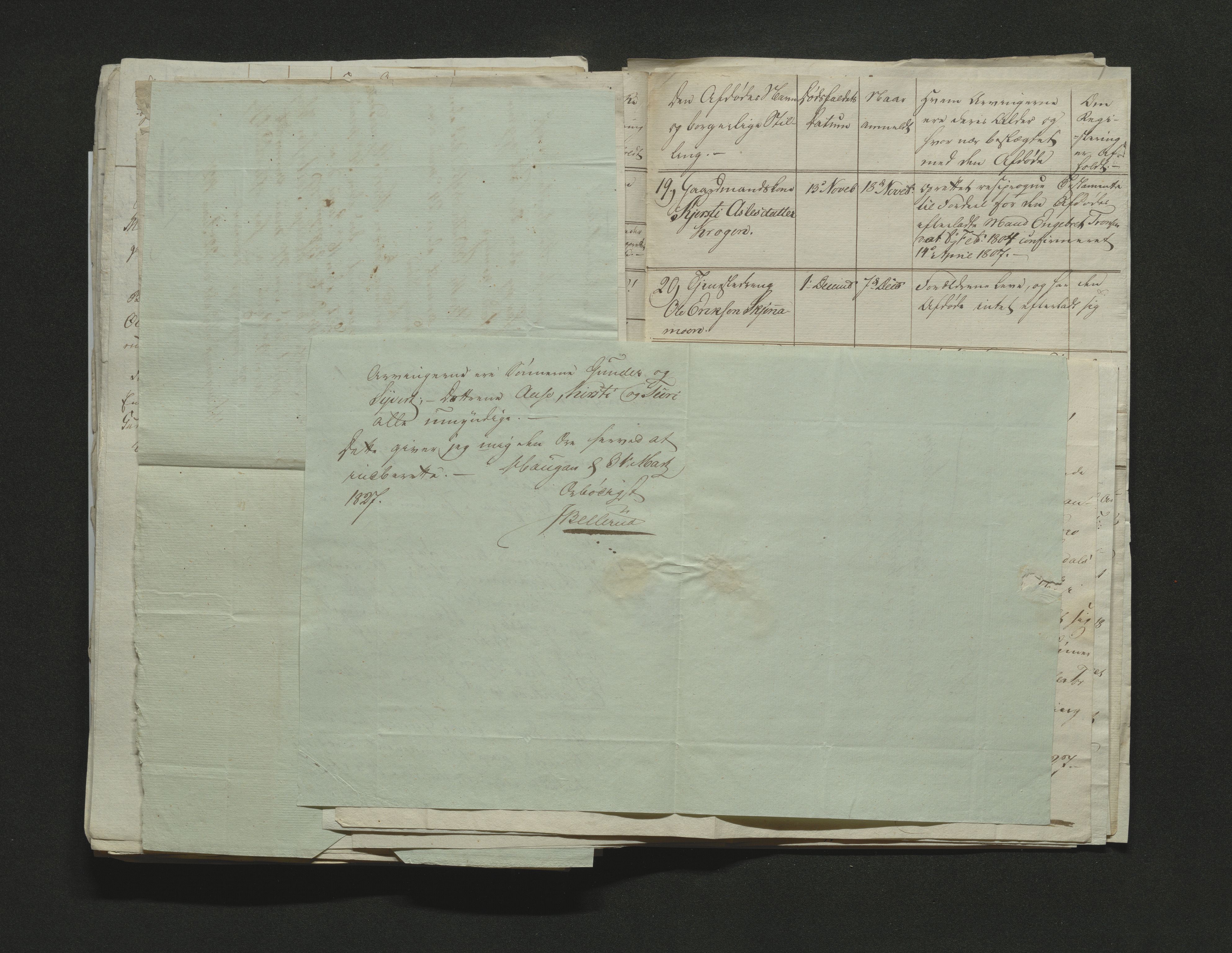 Eiker, Modum og Sigdal sorenskriveri, AV/SAKO-A-123/H/Ha/Hab/L0002: Dødsfallsmeldinger, 1823-1829, s. 217