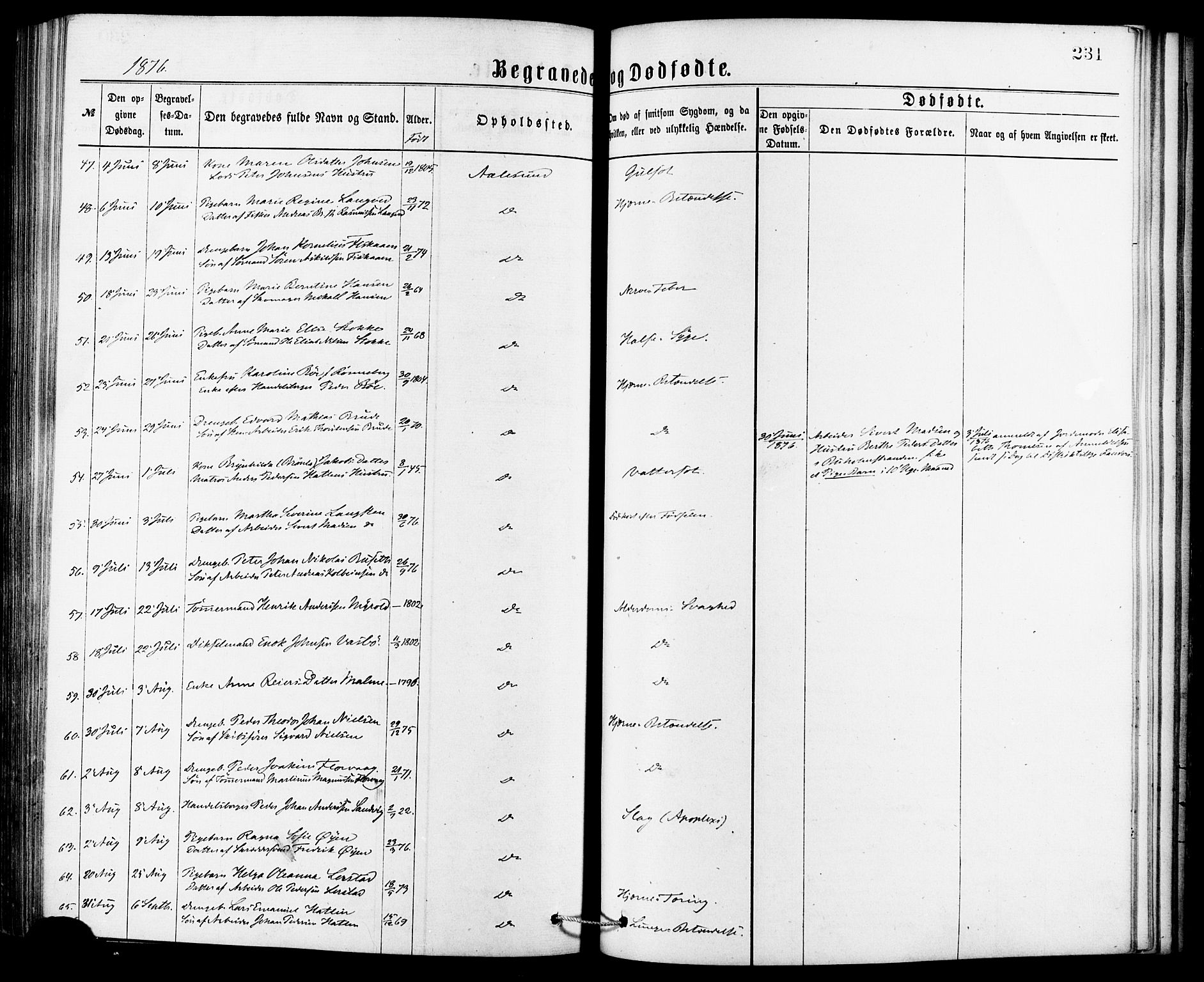 Ministerialprotokoller, klokkerbøker og fødselsregistre - Møre og Romsdal, AV/SAT-A-1454/529/L0453: Ministerialbok nr. 529A03, 1872-1877, s. 231