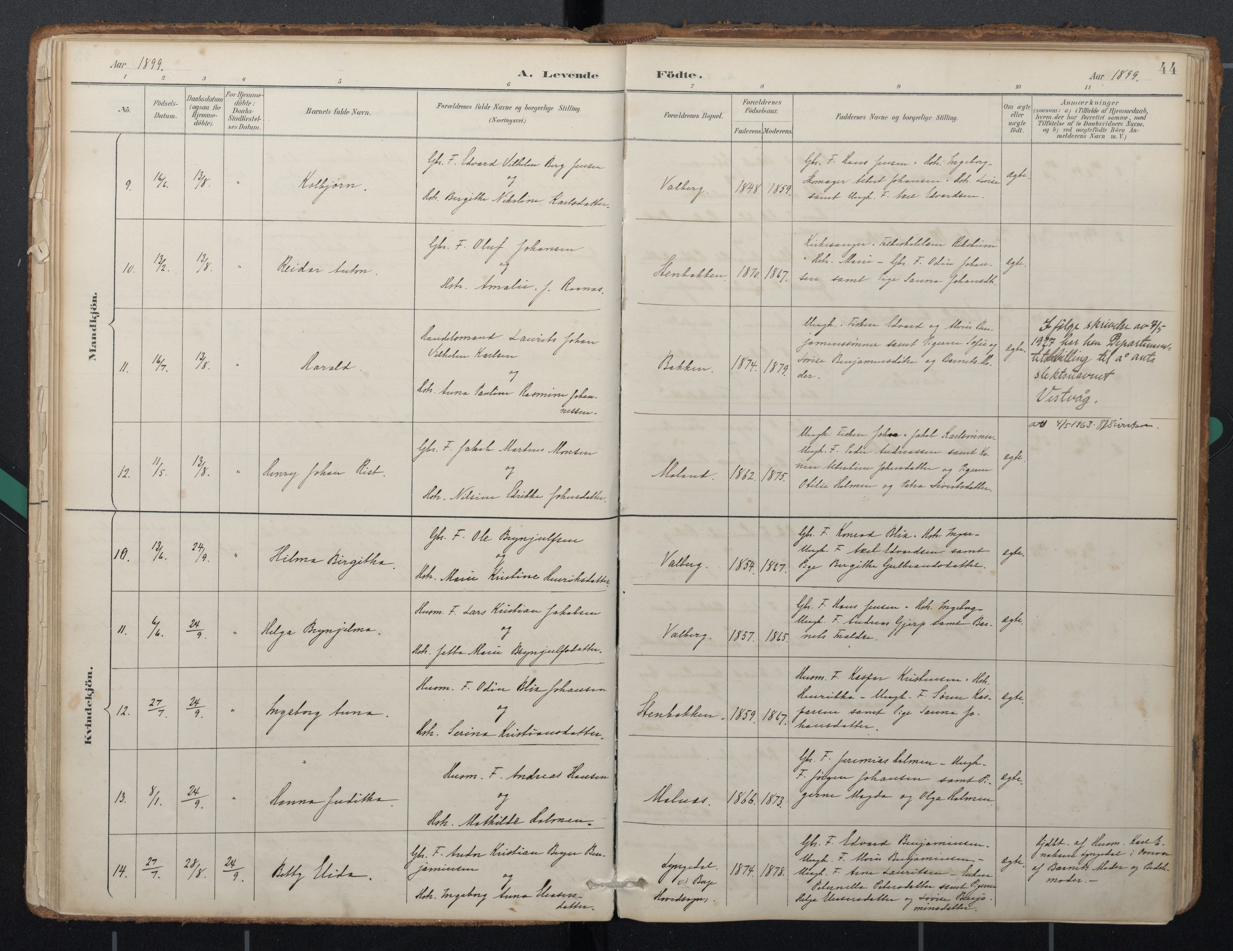 Ministerialprotokoller, klokkerbøker og fødselsregistre - Nordland, AV/SAT-A-1459/884/L1193: Ministerialbok nr. 884A01, 1888-1905, s. 44