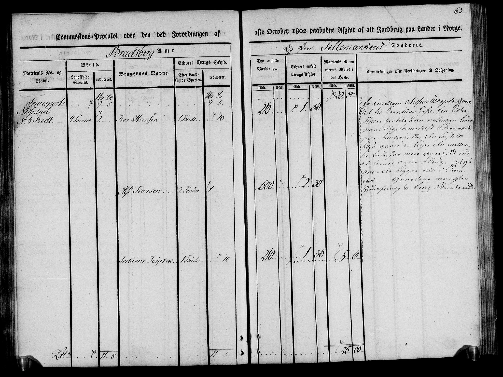 Rentekammeret inntil 1814, Realistisk ordnet avdeling, RA/EA-4070/N/Ne/Nea/L0075: Øvre Telemarken fogderi. Kommisjonsprotokoll for fogderiets vestre del - Kviteseid, Vinje, Moland [):Fyresdal] og Lårdal prestegjeld., 1803, s. 63