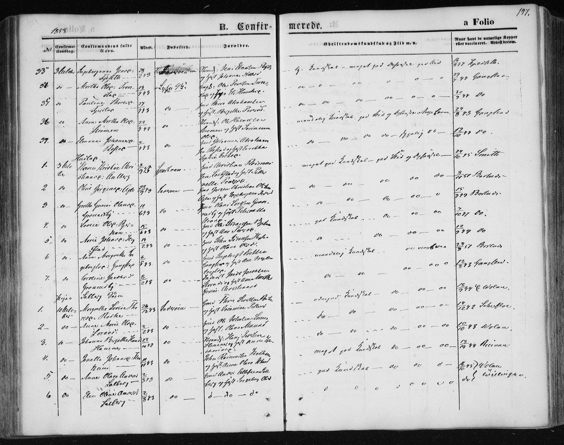 Ministerialprotokoller, klokkerbøker og fødselsregistre - Nord-Trøndelag, AV/SAT-A-1458/730/L0283: Ministerialbok nr. 730A08, 1855-1865, s. 197
