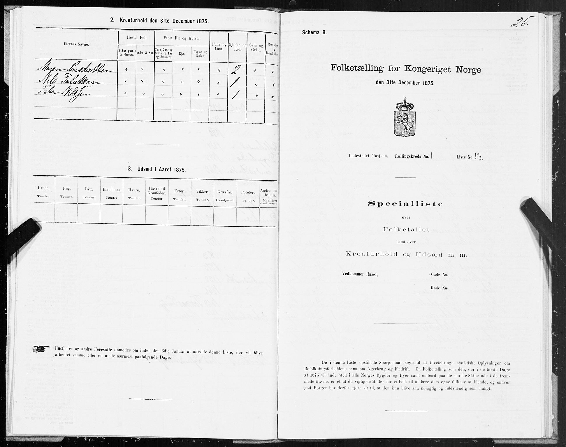 SAT, Folketelling 1875 for 1802B Vefsn prestegjeld, Mosjøen ladested, 1875, s. 25