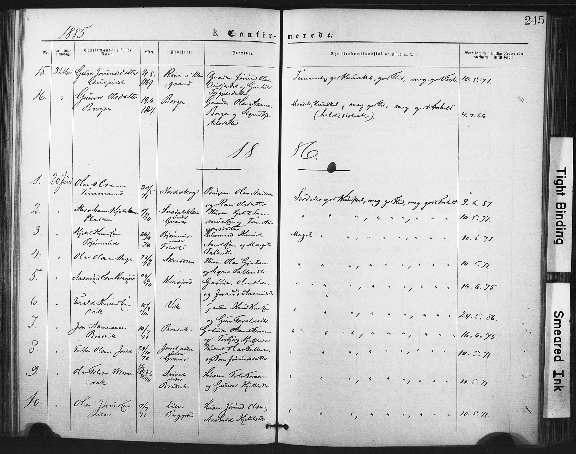 Fyresdal kirkebøker, AV/SAKO-A-263/F/Fa/L0006: Ministerialbok nr. I 6, 1872-1886, s. 245